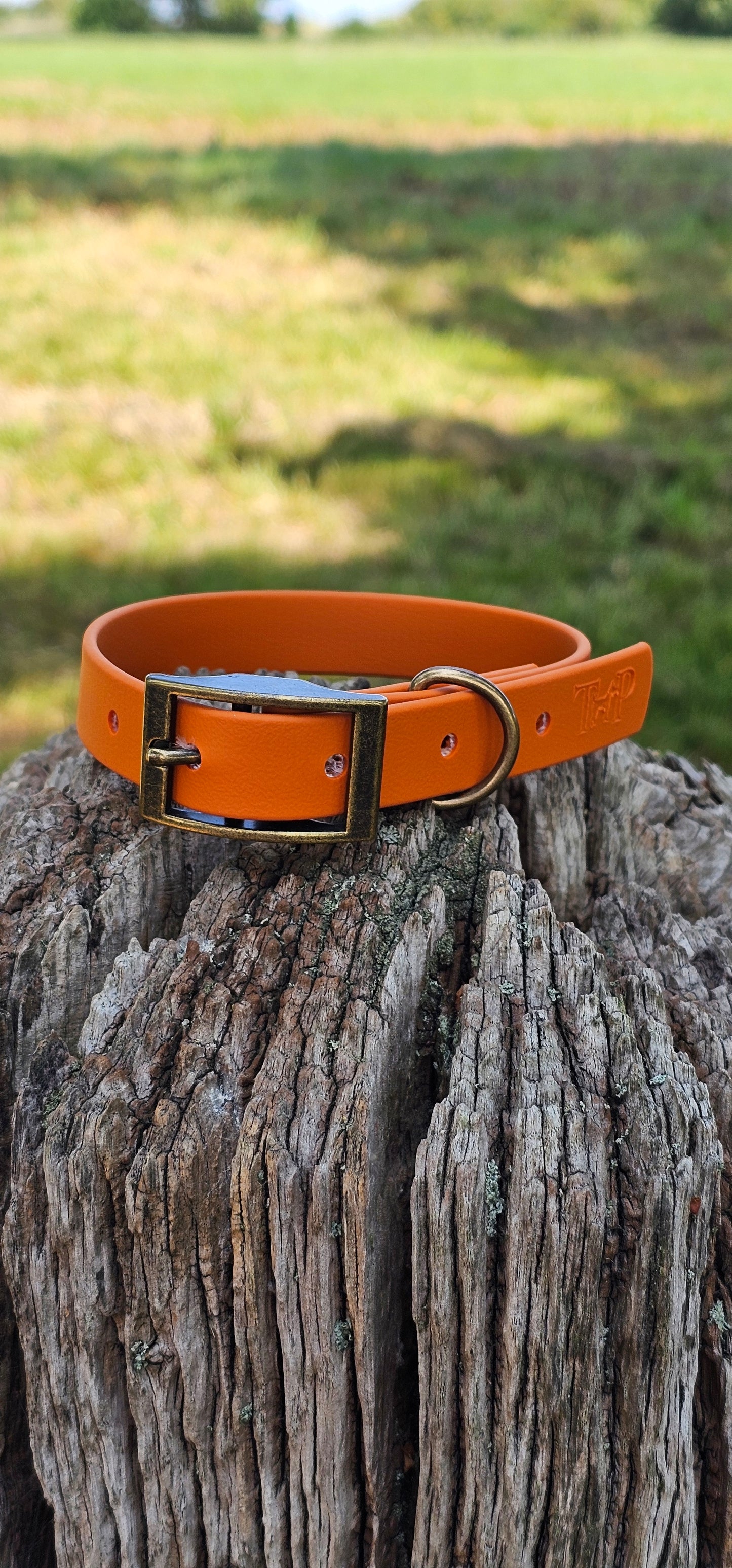 Burnt Orange - Waterproof BioThane© Dog Collar
