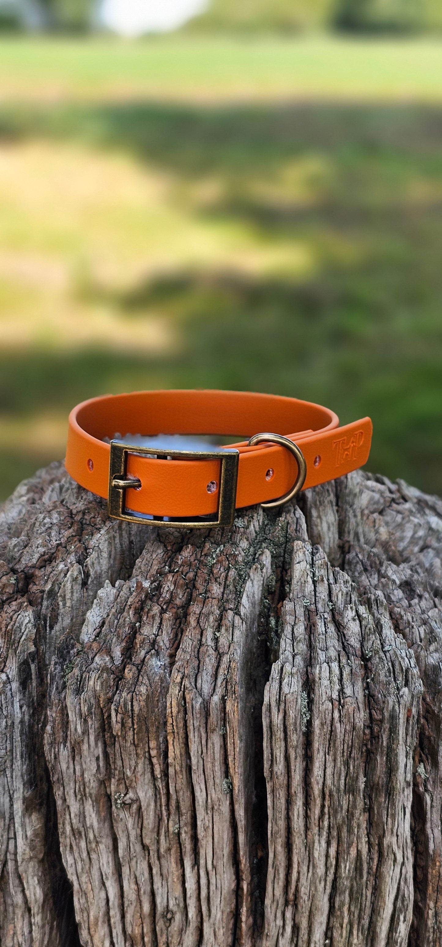Burnt Orange - Waterproof BioThane© Dog Collar