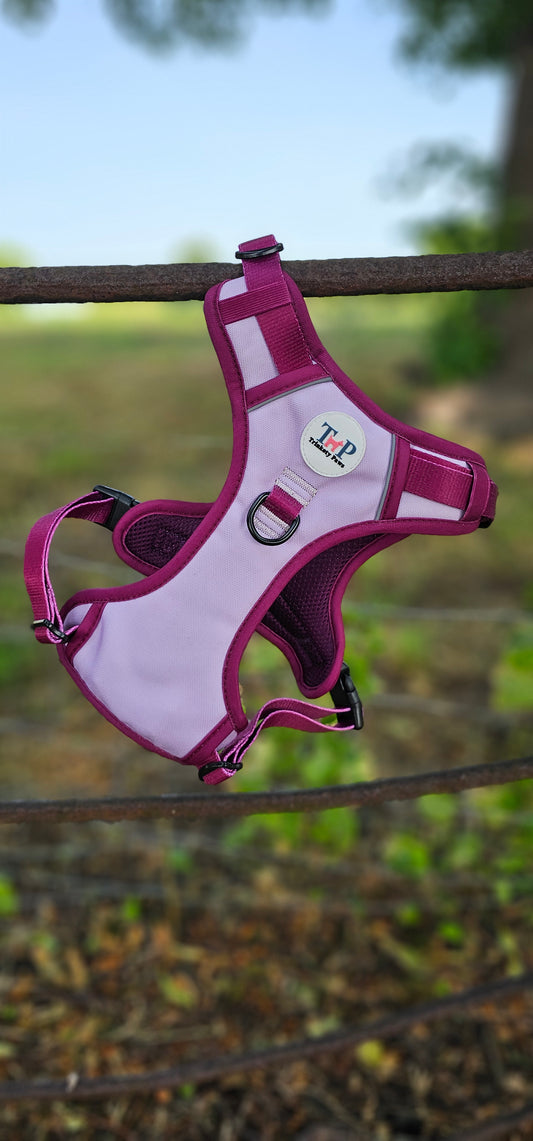 Stormberry - EasyFit™ Dog Harness