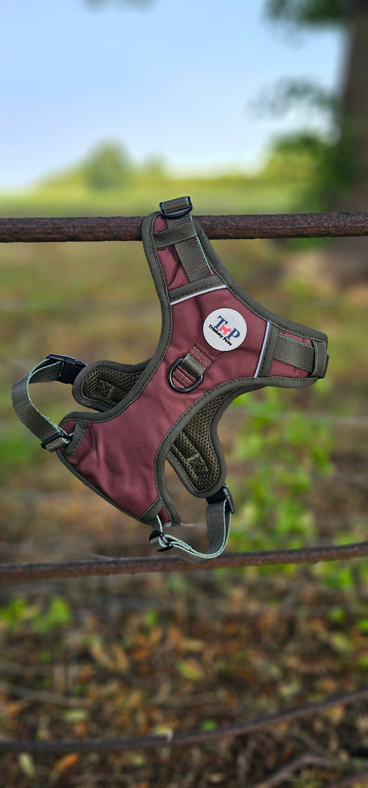 Earthbound - EasyFit™ Dog Harness