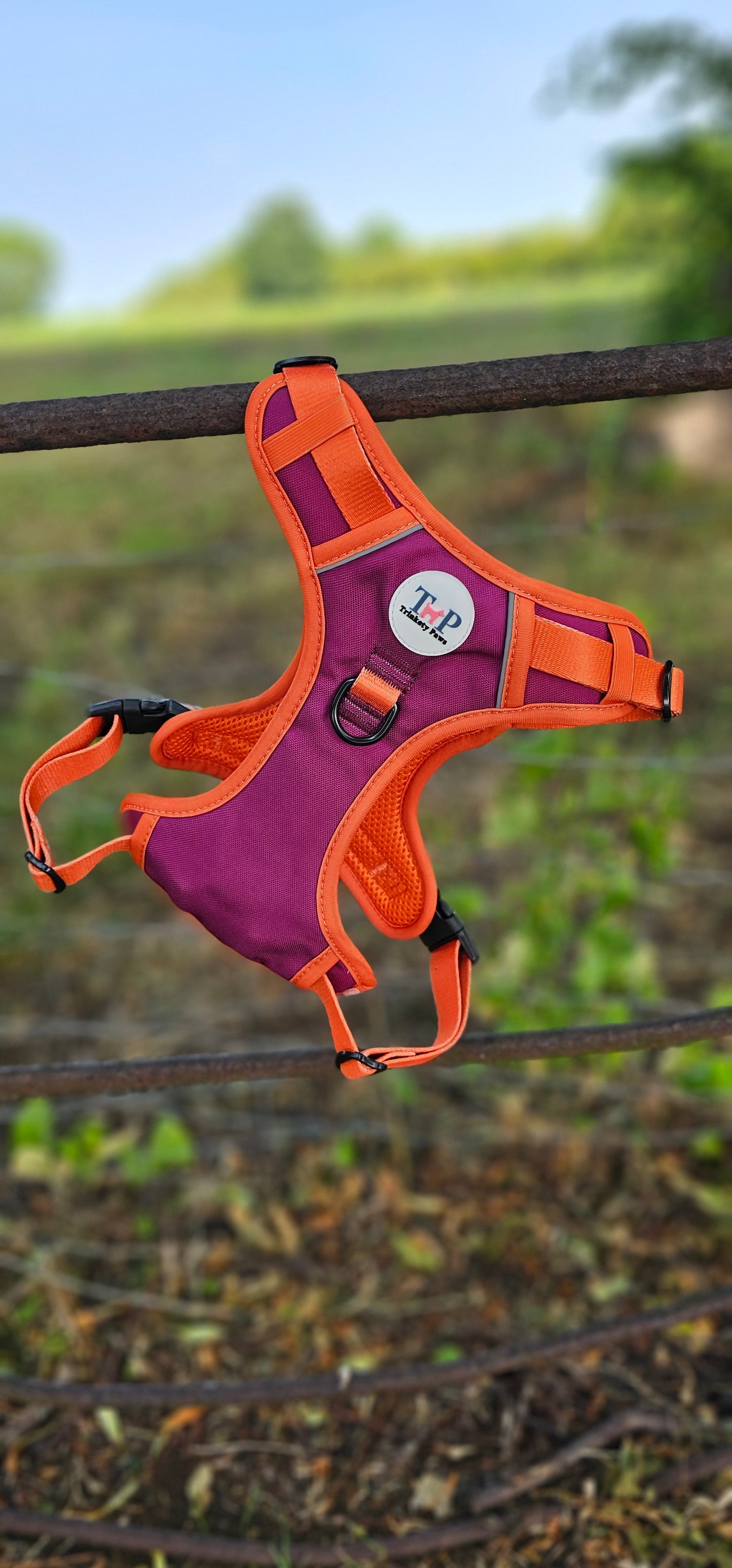 Phoenix - EasyFit™ Dog Harness