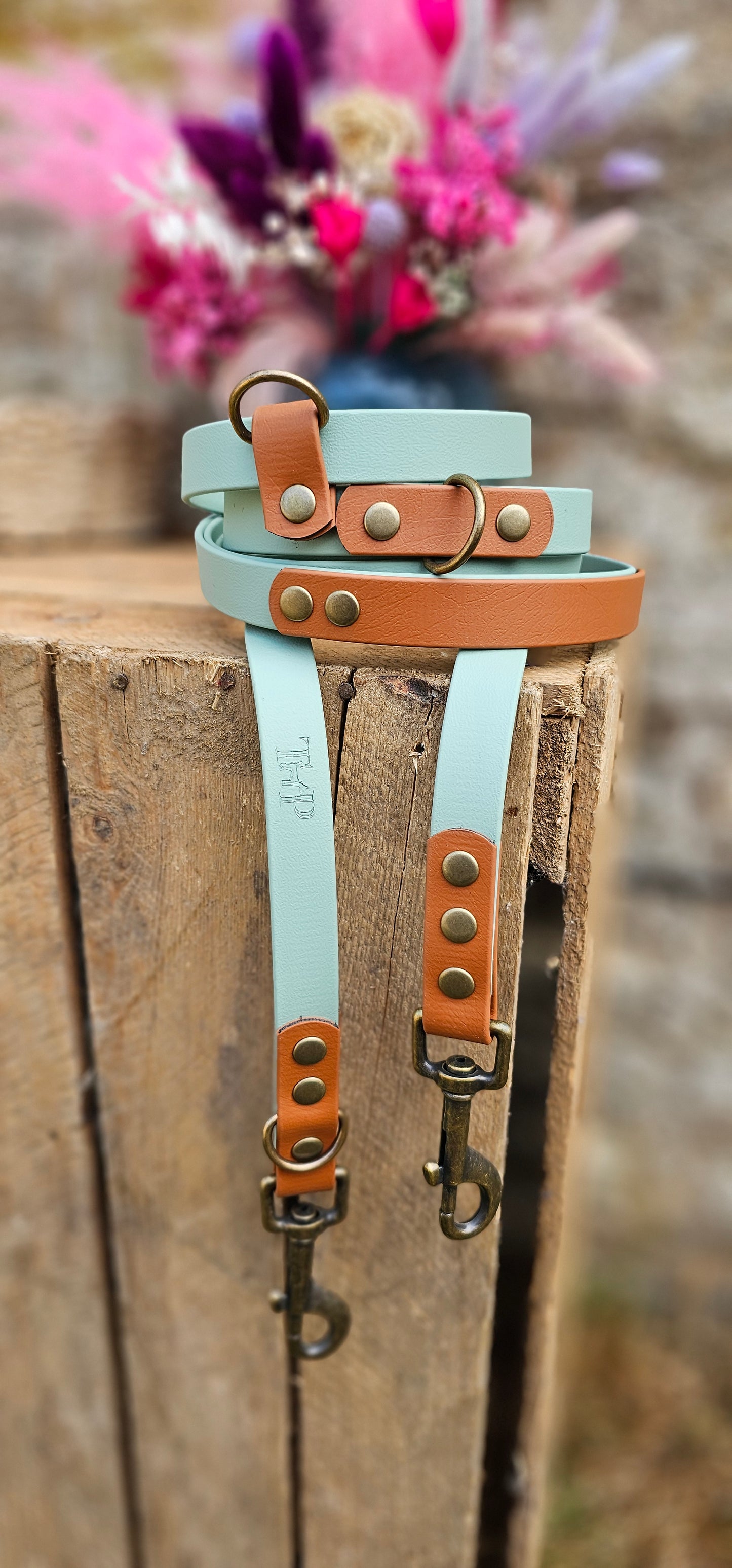 Waterproof BioThane© handsfree Dog Training Lead - Design Your Own