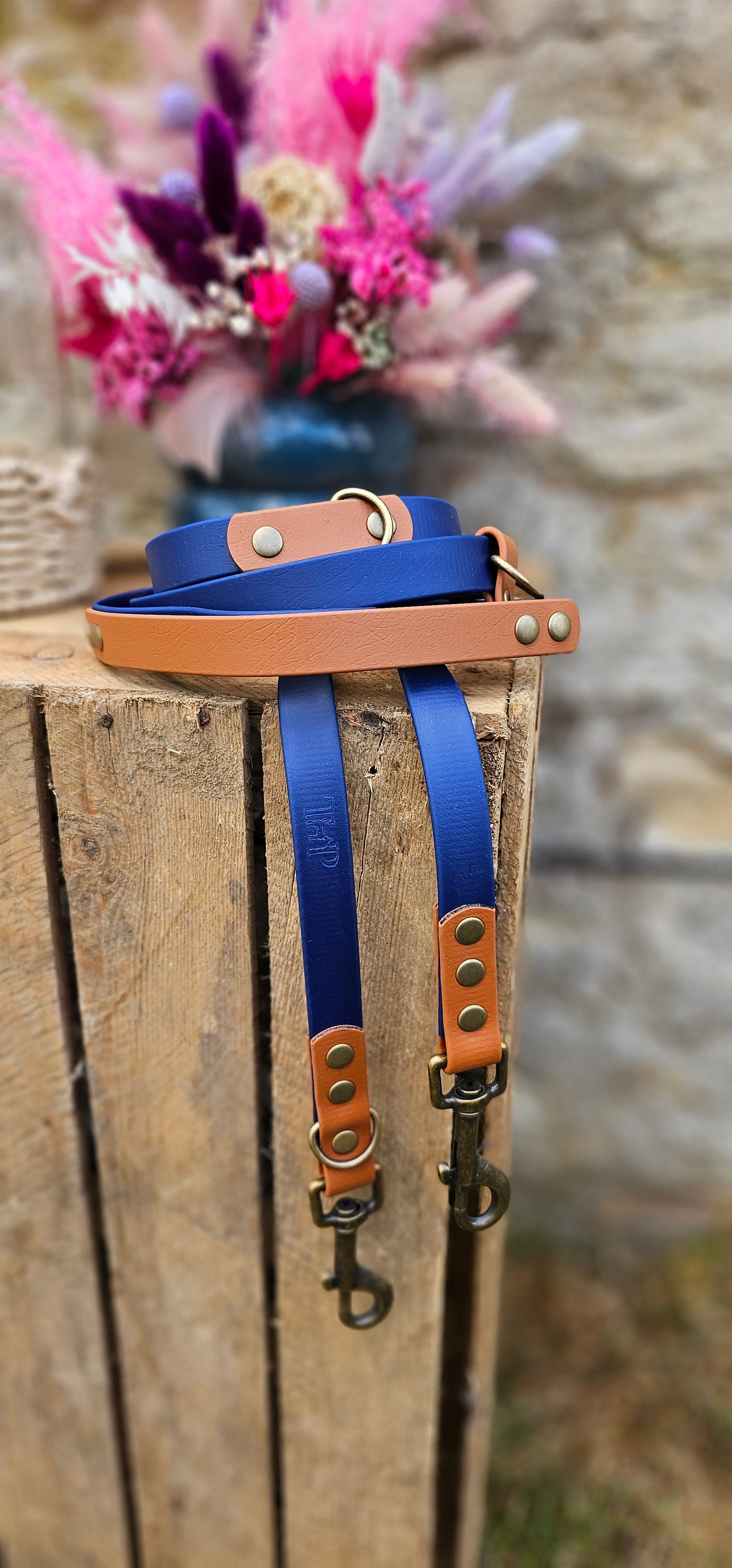 Tan & Navy - Waterproof BioThane© handsfree Dog Training Lead