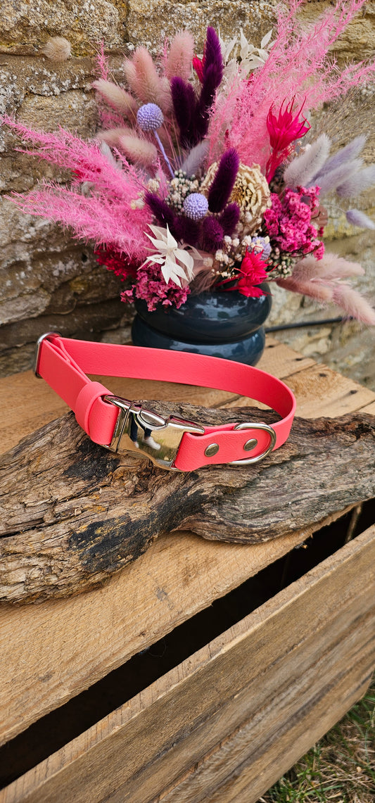 Coral - Everlast Waterproof BioThane© Quick-Release Buckle Dog Collar