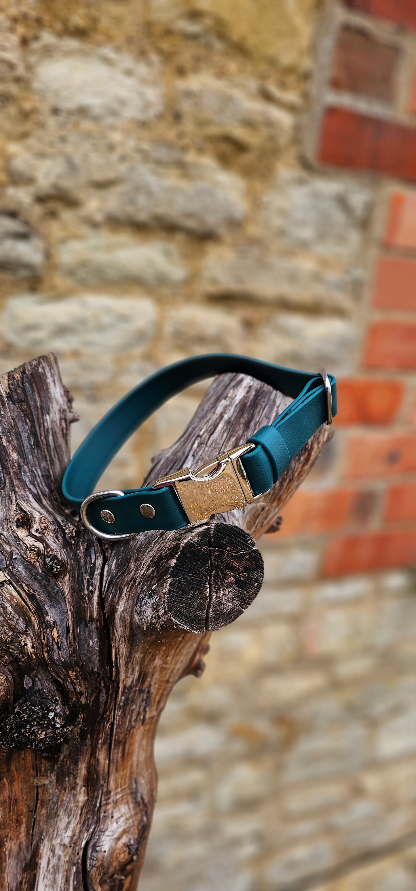 Dark Green - Everlast Waterproof BioThane© Quick-Release Buckle Dog Collar