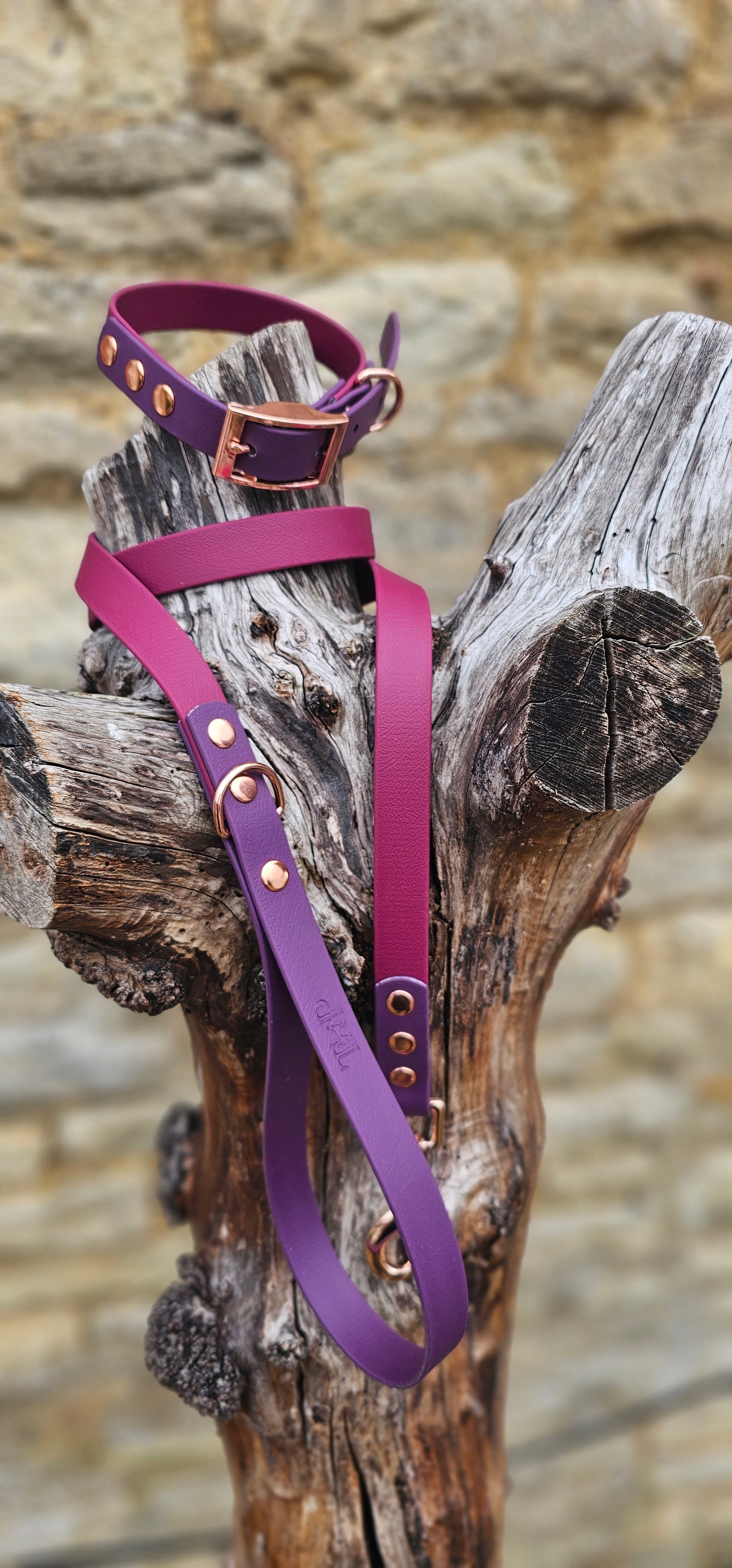 Burgundy & Aubergine - Waterproof BioThane© two-coloured Dog Collar