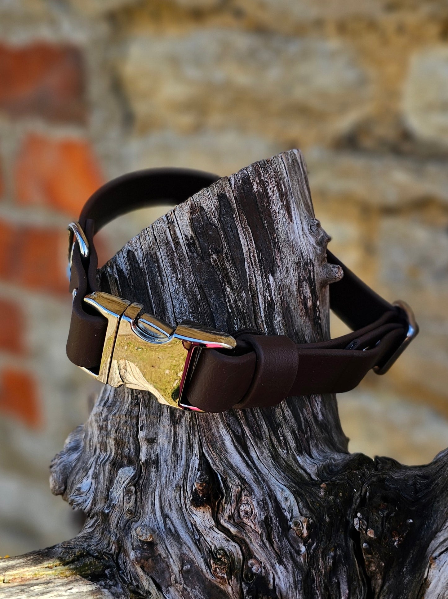 Dark Brown - Everlast Waterproof BioThane© Quick-Release Buckle Dog Collar
