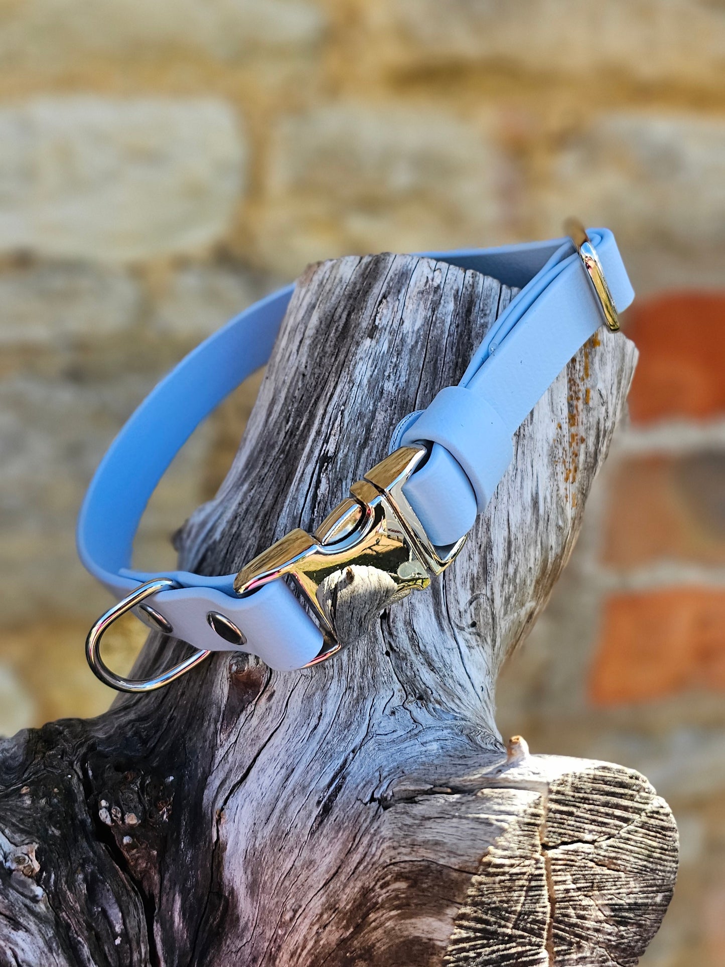 Baby Blue - Everlast Waterproof BioThane© Quick-Release Buckle Dog Collar