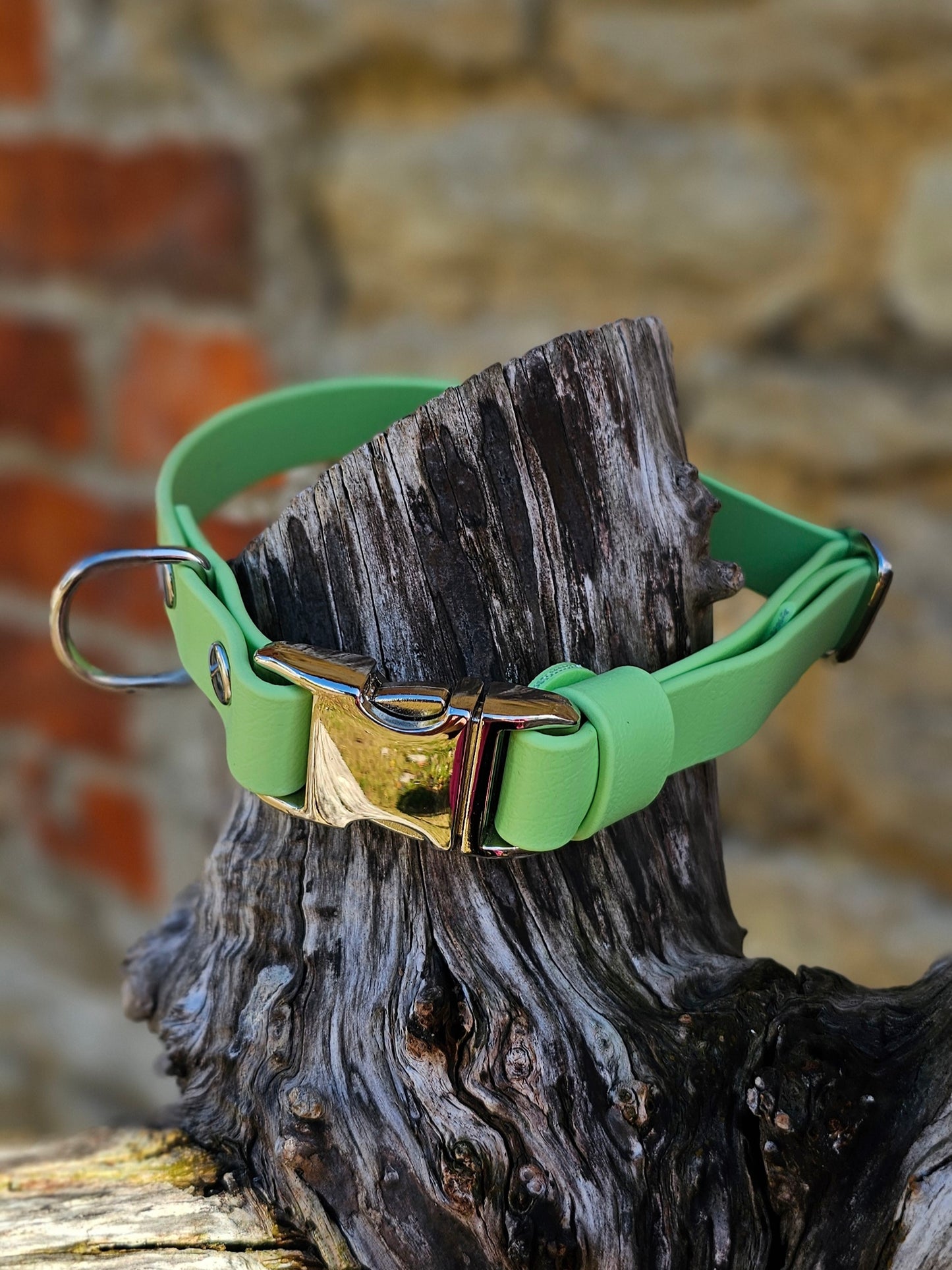 Pistachio - Everlast Waterproof BioThane© Quick-Release Buckle Dog Collar
