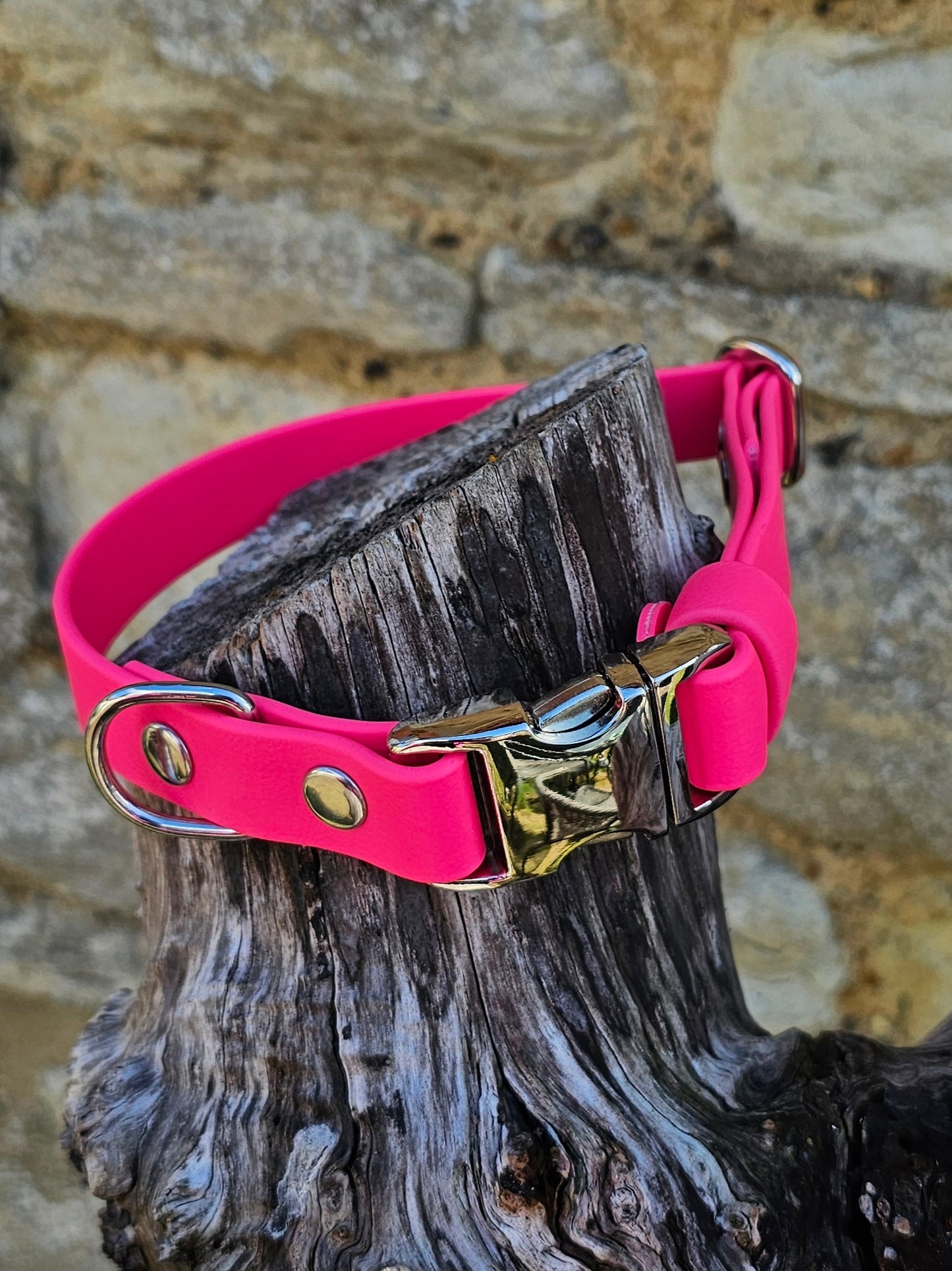 Passion Pink - Everlast Waterproof BioThane© Quick-Release Buckle Dog Collar