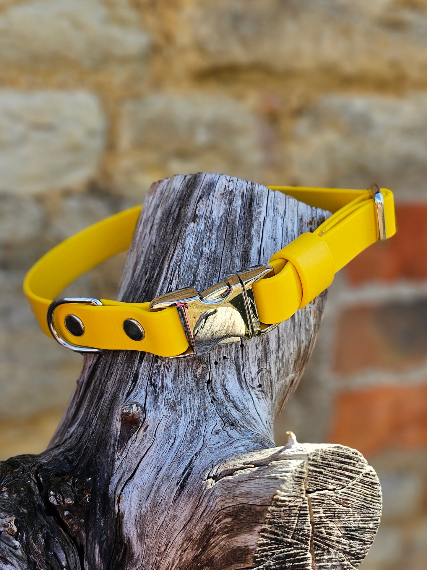 Yellow - Everlast Waterproof BioThane© Quick-Release Buckle Dog Collar