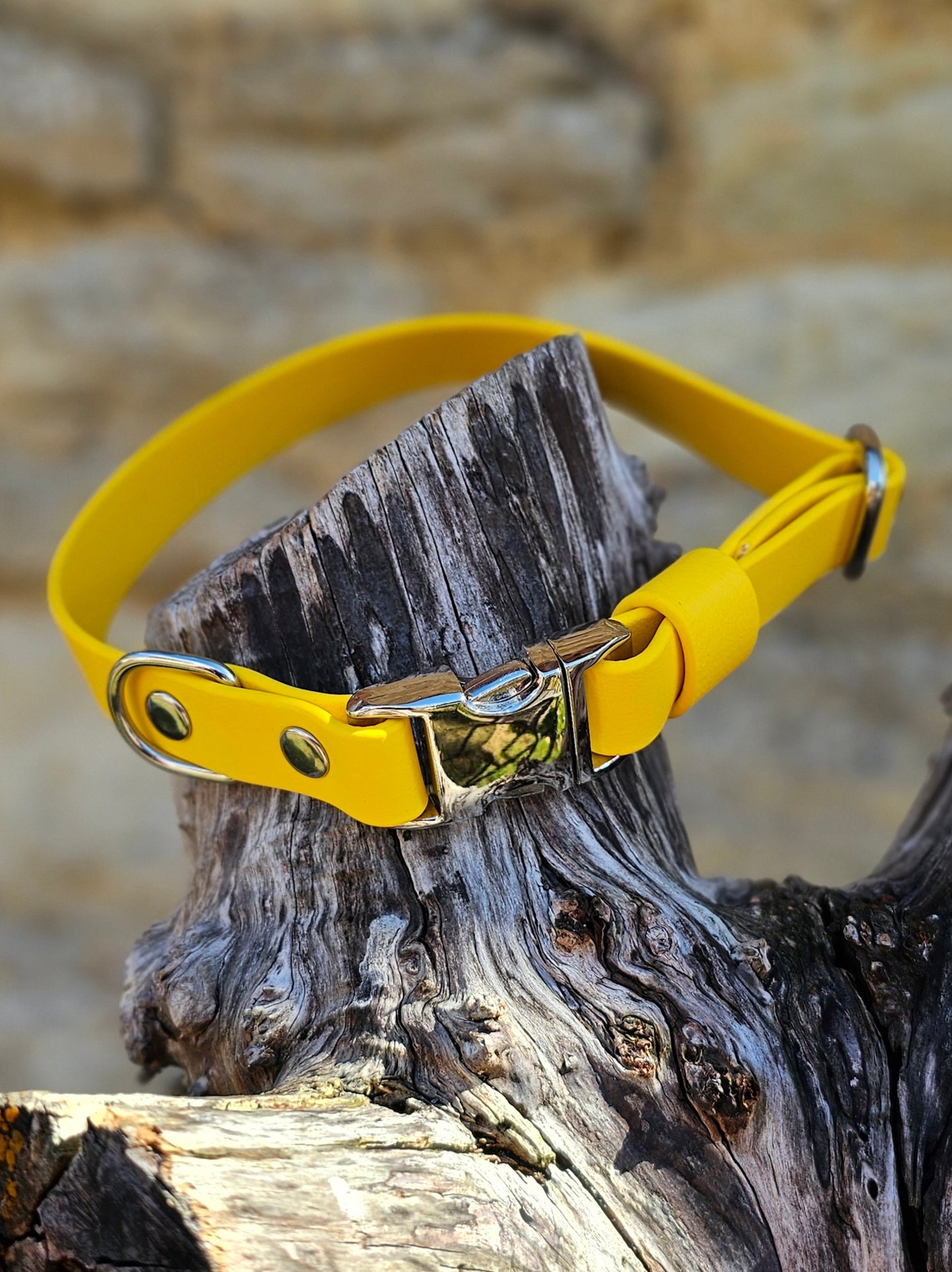 Yellow - Everlast Waterproof BioThane© Quick-Release Buckle Dog Collar