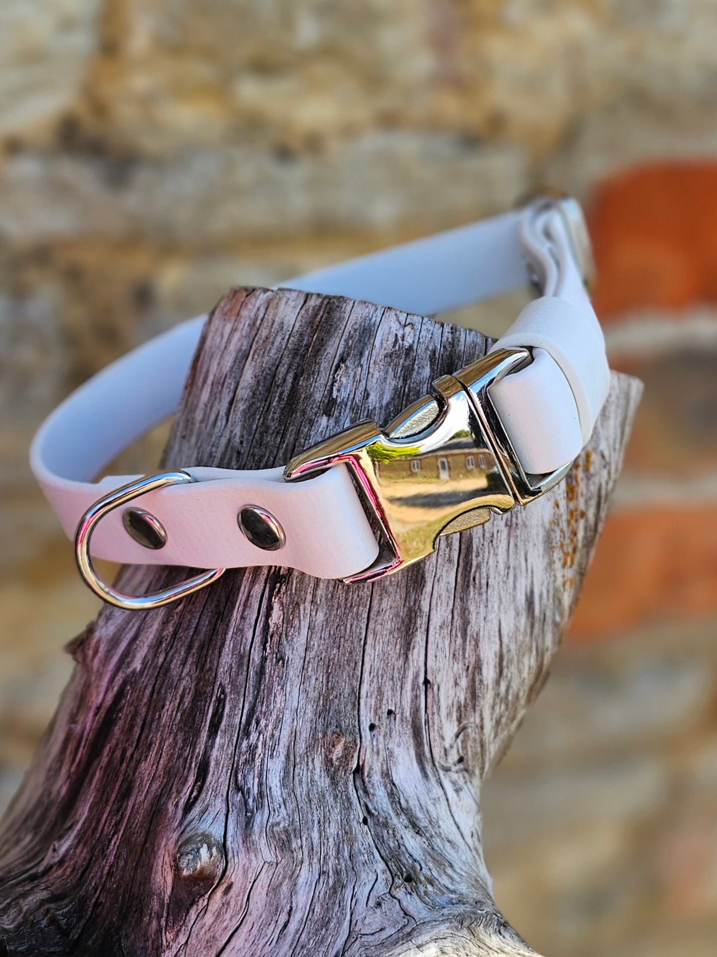 White - Everlast Waterproof BioThane© Quick-Release Buckle Dog Collar