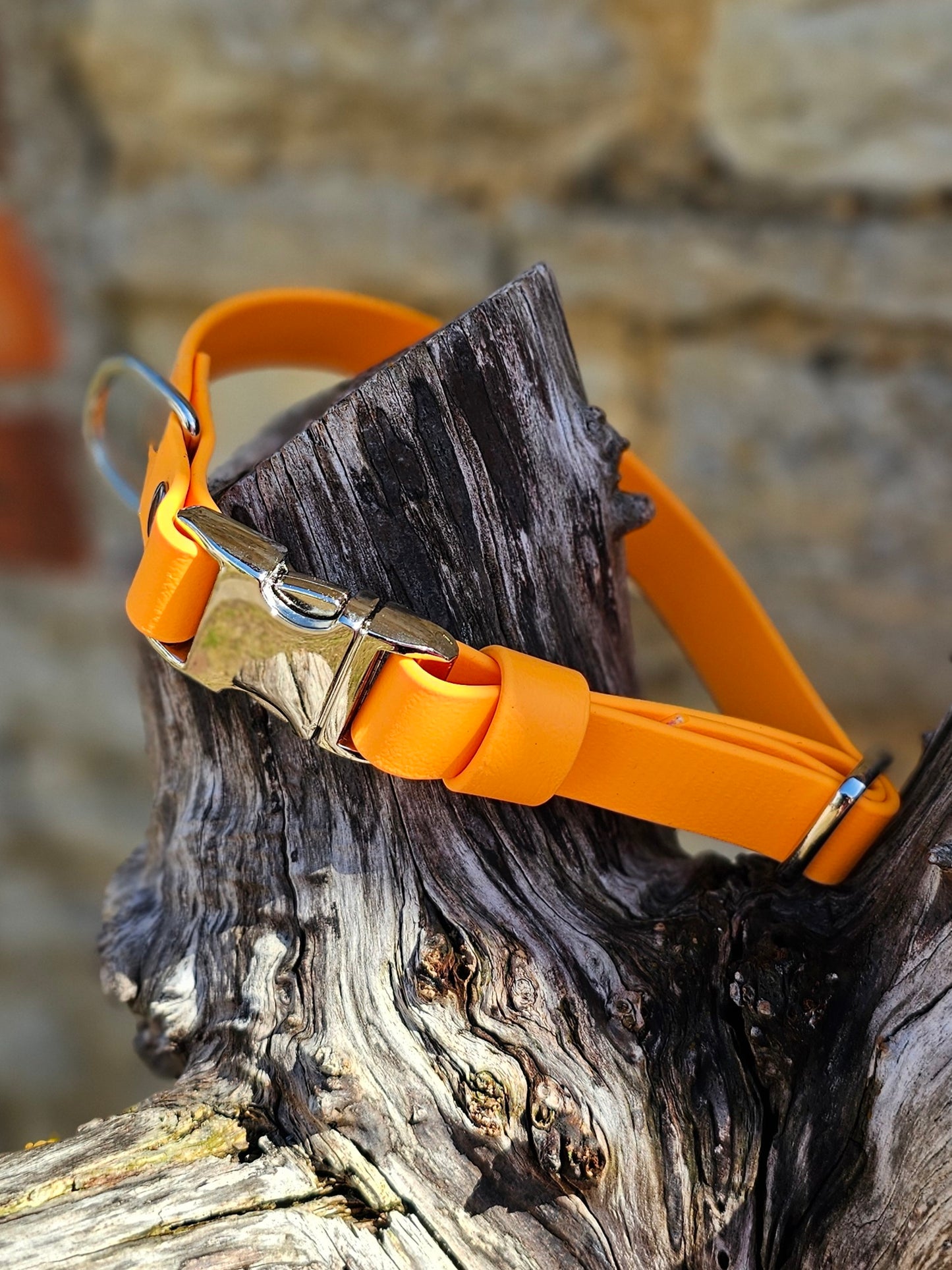 Orange - Everlast Waterproof BioThane© Quick-Release Buckle Dog Collar