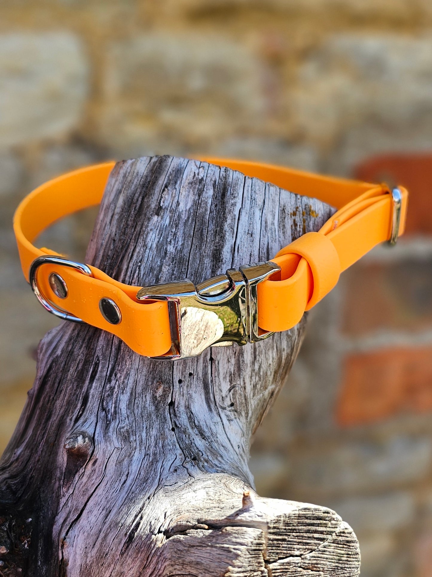 Orange - Everlast Waterproof BioThane© Quick-Release Buckle Dog Collar