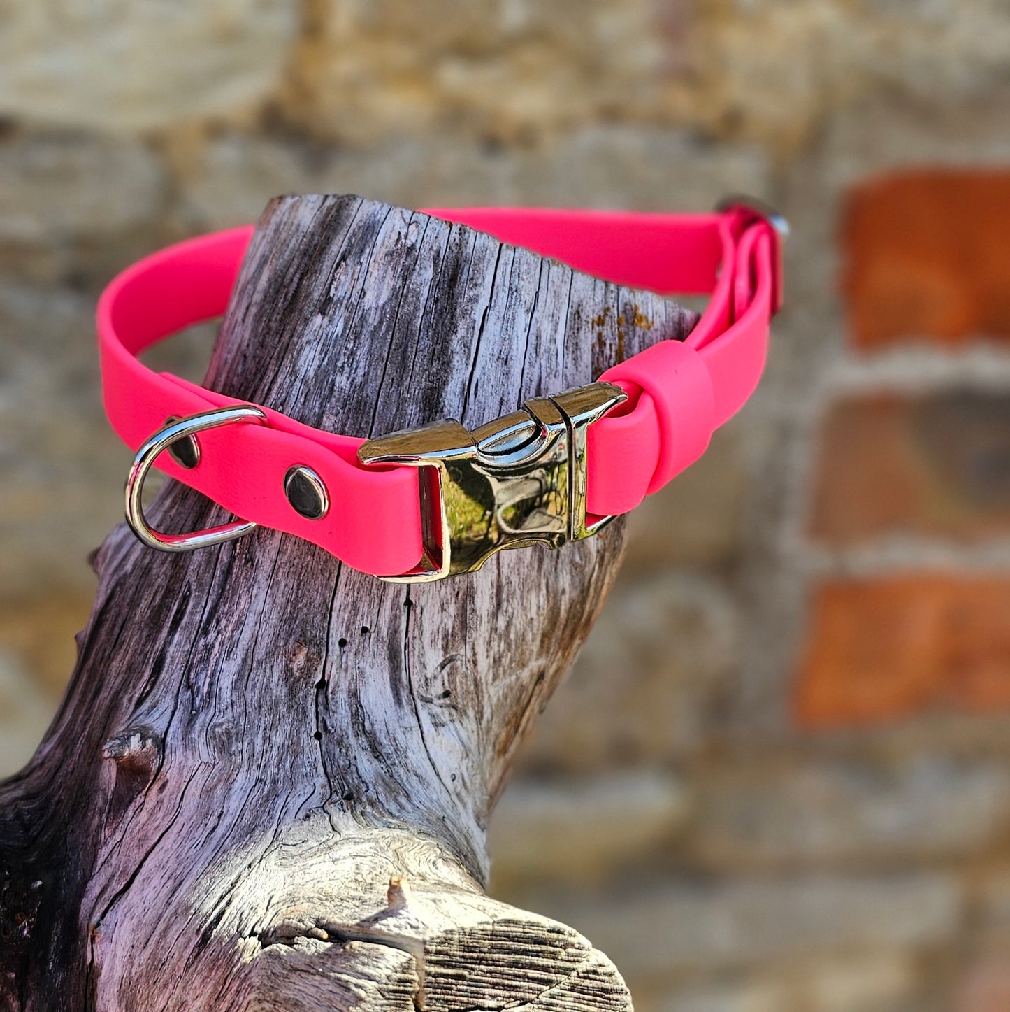 Neon Pink - Everlast Waterproof BioThane© Quick-Release Buckle Dog Collar