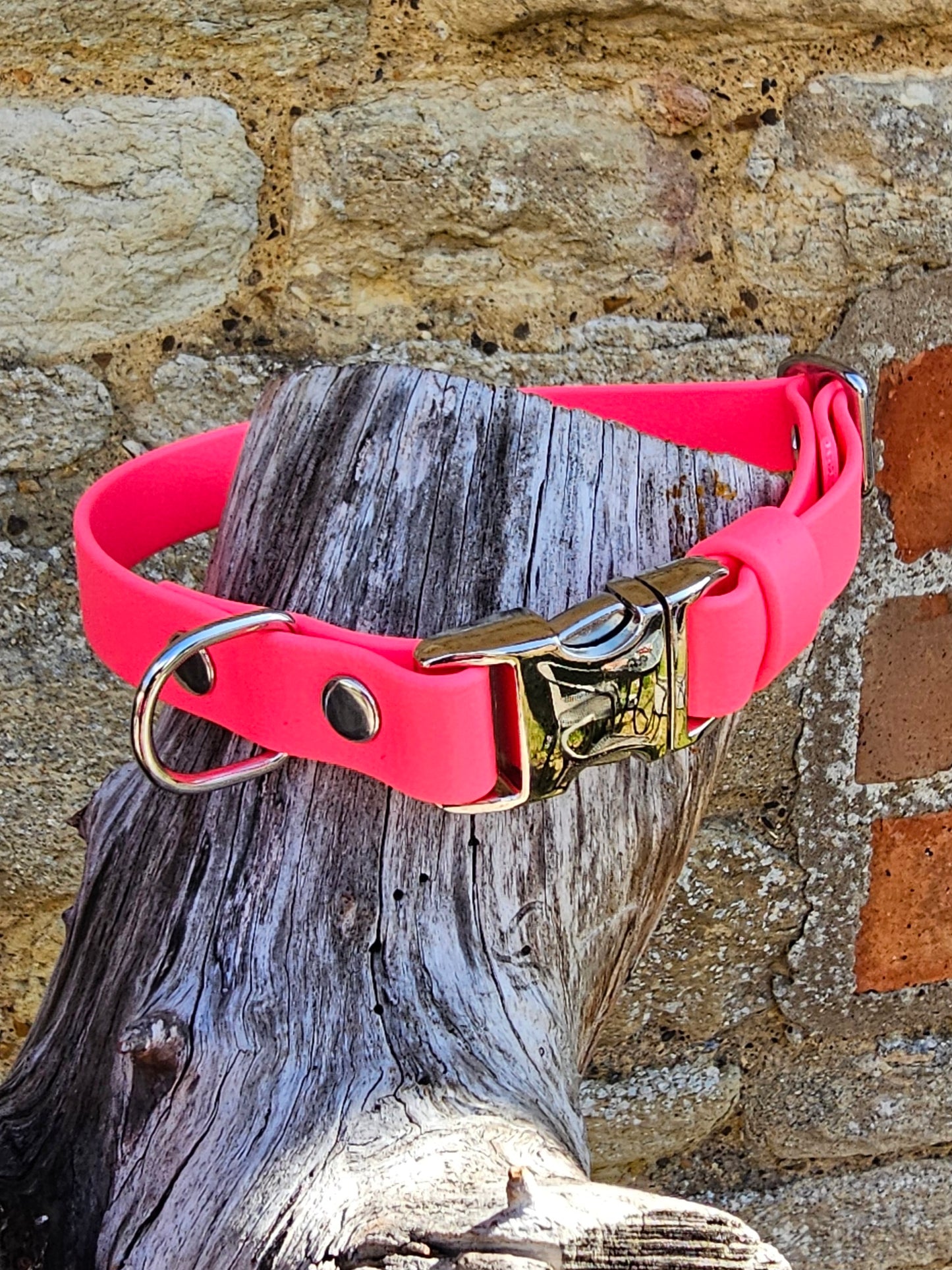 Neon Pink - Everlast Waterproof BioThane© Quick-Release Buckle Dog Collar