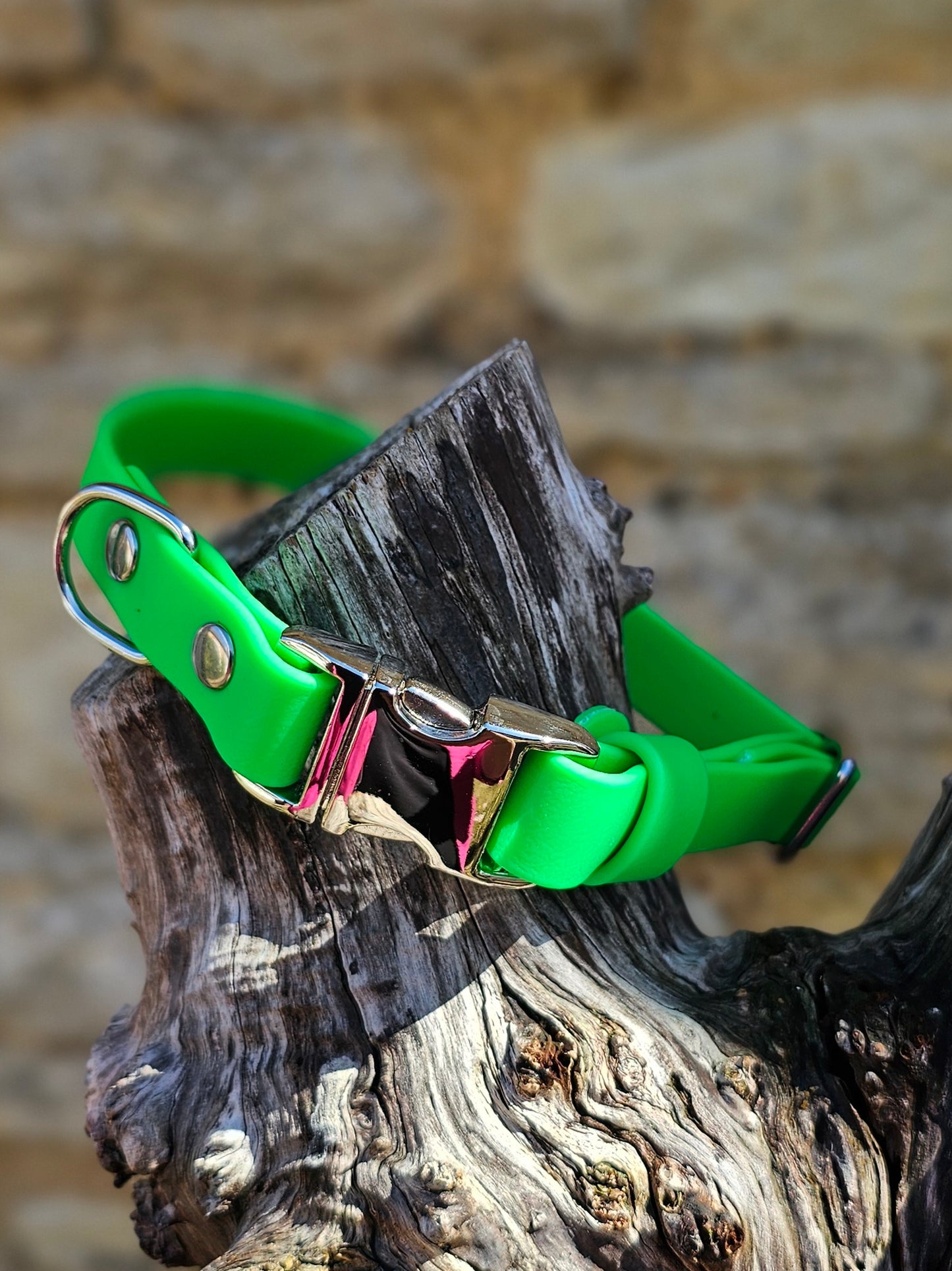 Neon Green - Everlast Waterproof BioThane© Quick-Release Buckle Dog Collar