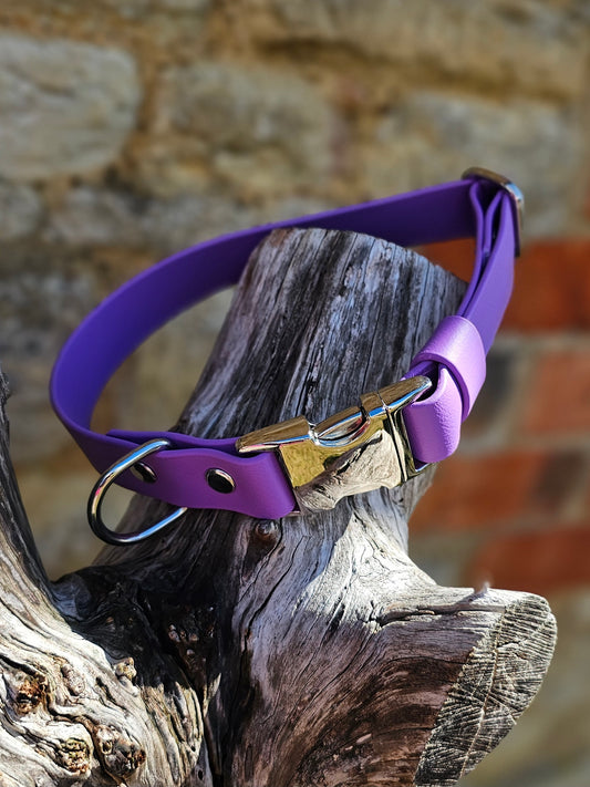 Purple - Everlast Waterproof BioThane© Quick-Release Buckle Dog Collar