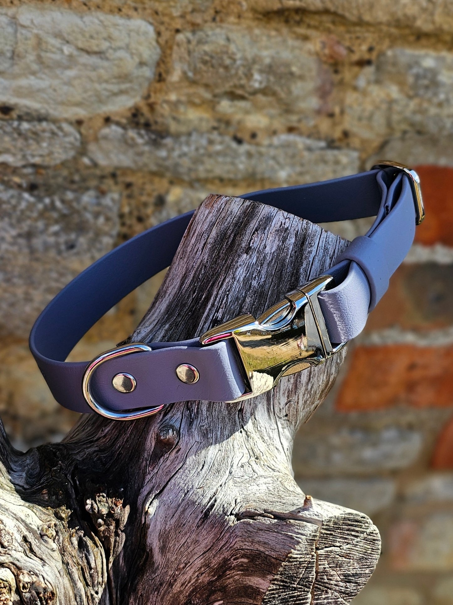 Aubergine - Everlast Waterproof BioThane© Quick-Release Buckle Dog Collar
