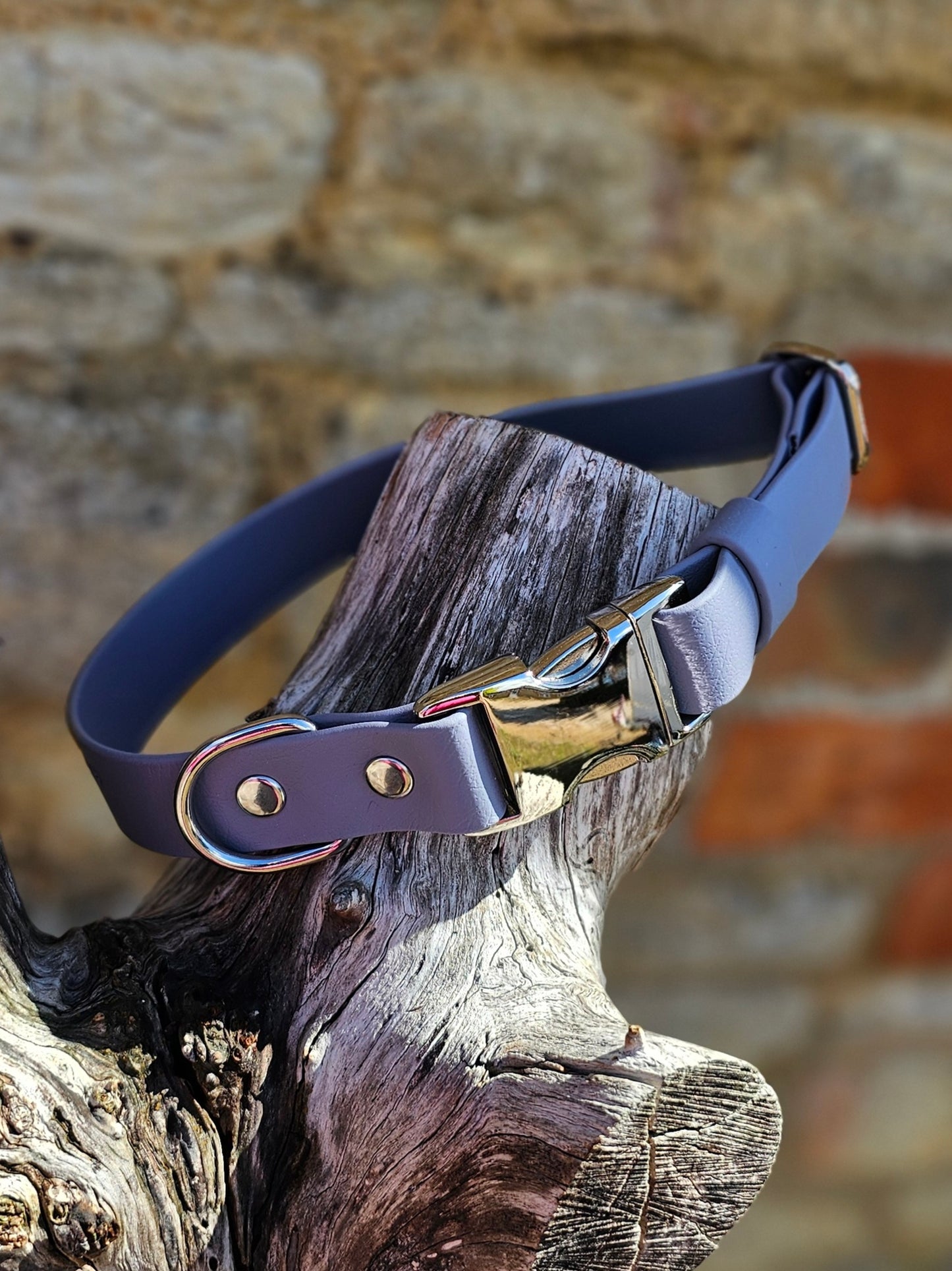 Aubergine - Everlast Waterproof BioThane© Quick-Release Buckle Dog Collar