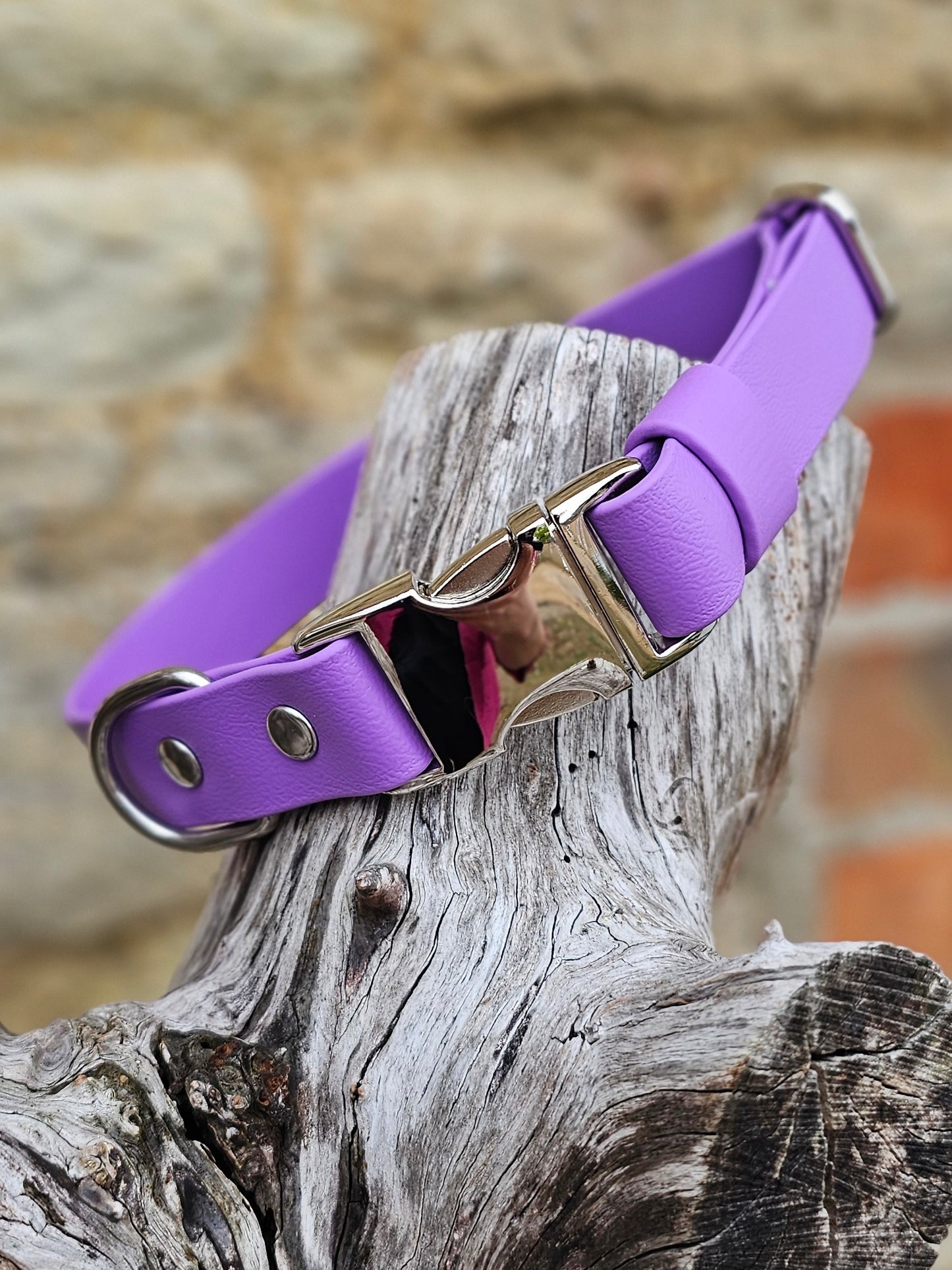 Amethyst - Everlast Waterproof BioThane© Quick-Release Buckle Dog Collar