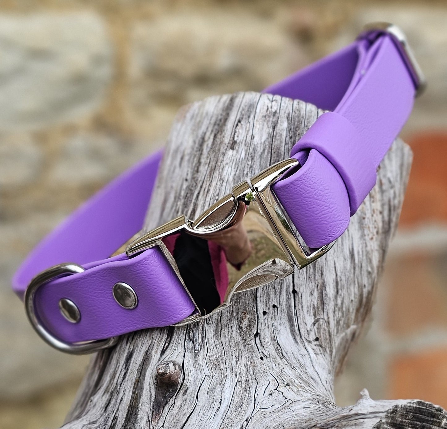 Everlast Waterproof BioThane© Quick-Release Buckle Dog Collar - Design Your Own