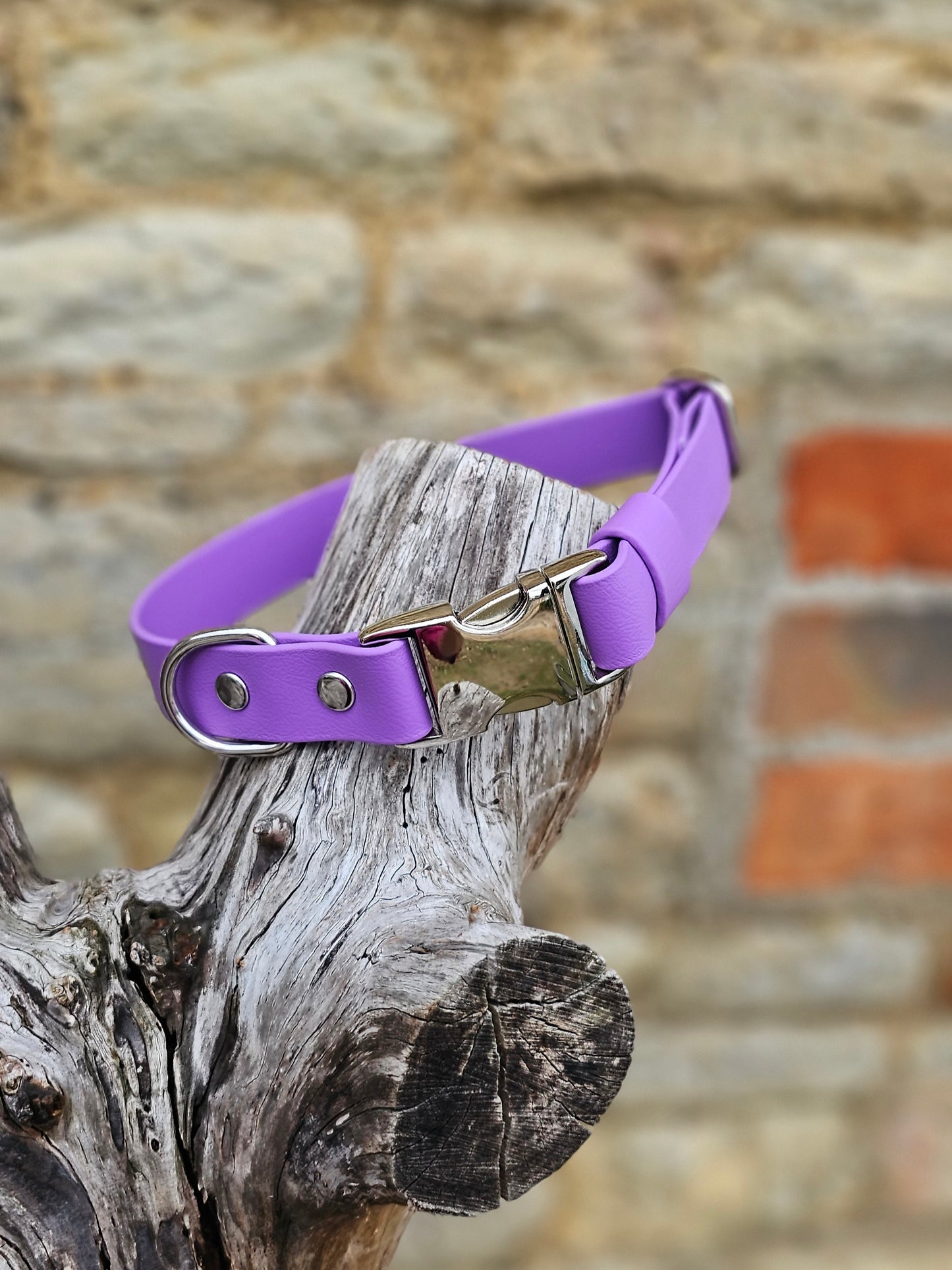 Amethyst - Everlast Waterproof BioThane© Quick-Release Buckle Dog Collar
