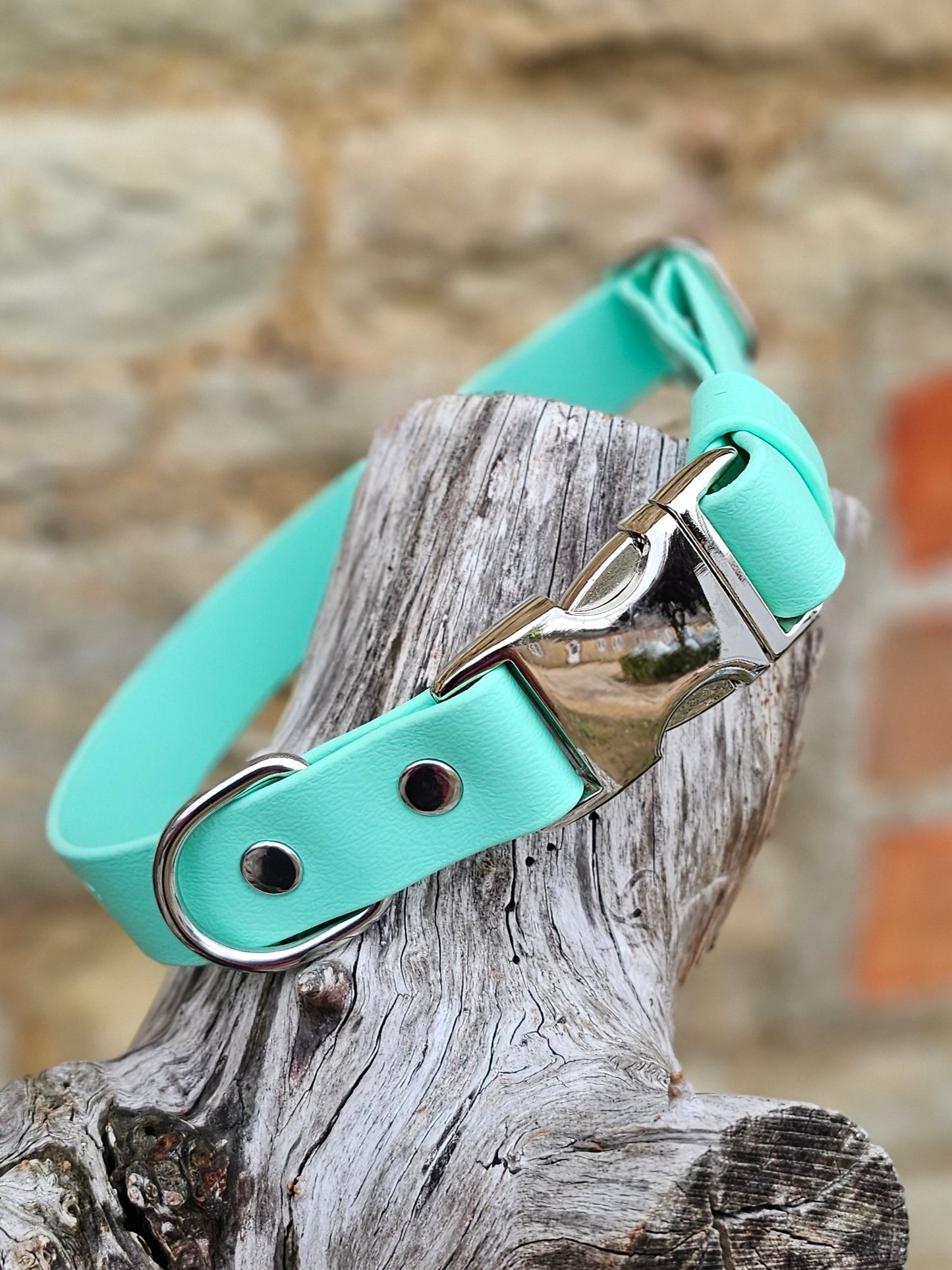 Mint - Everlast Waterproof BioThane© Quick-Release Buckle Dog Collar