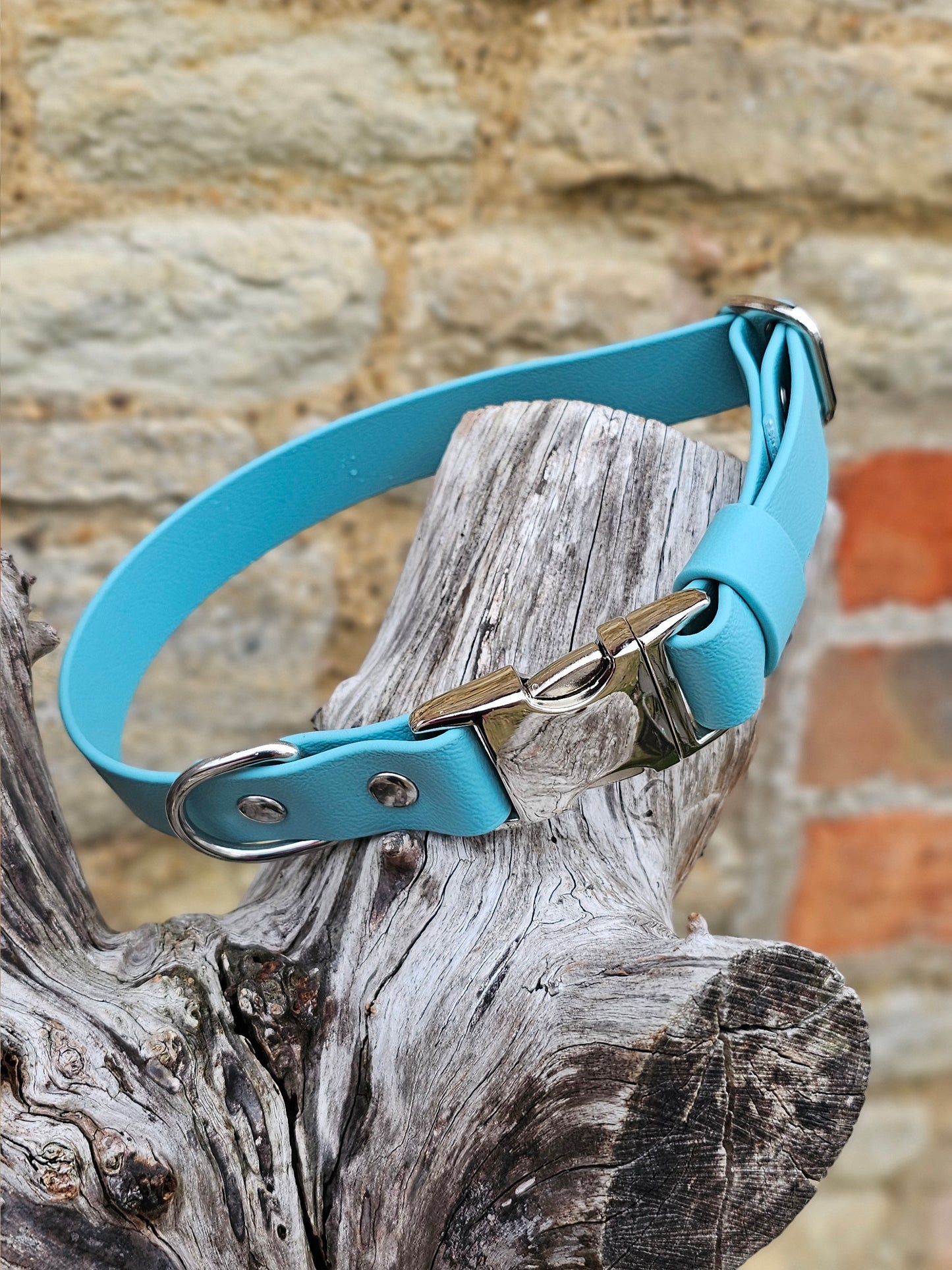 Duckegg - Everlast Waterproof BioThane© Quick-Release Buckle Dog Collar