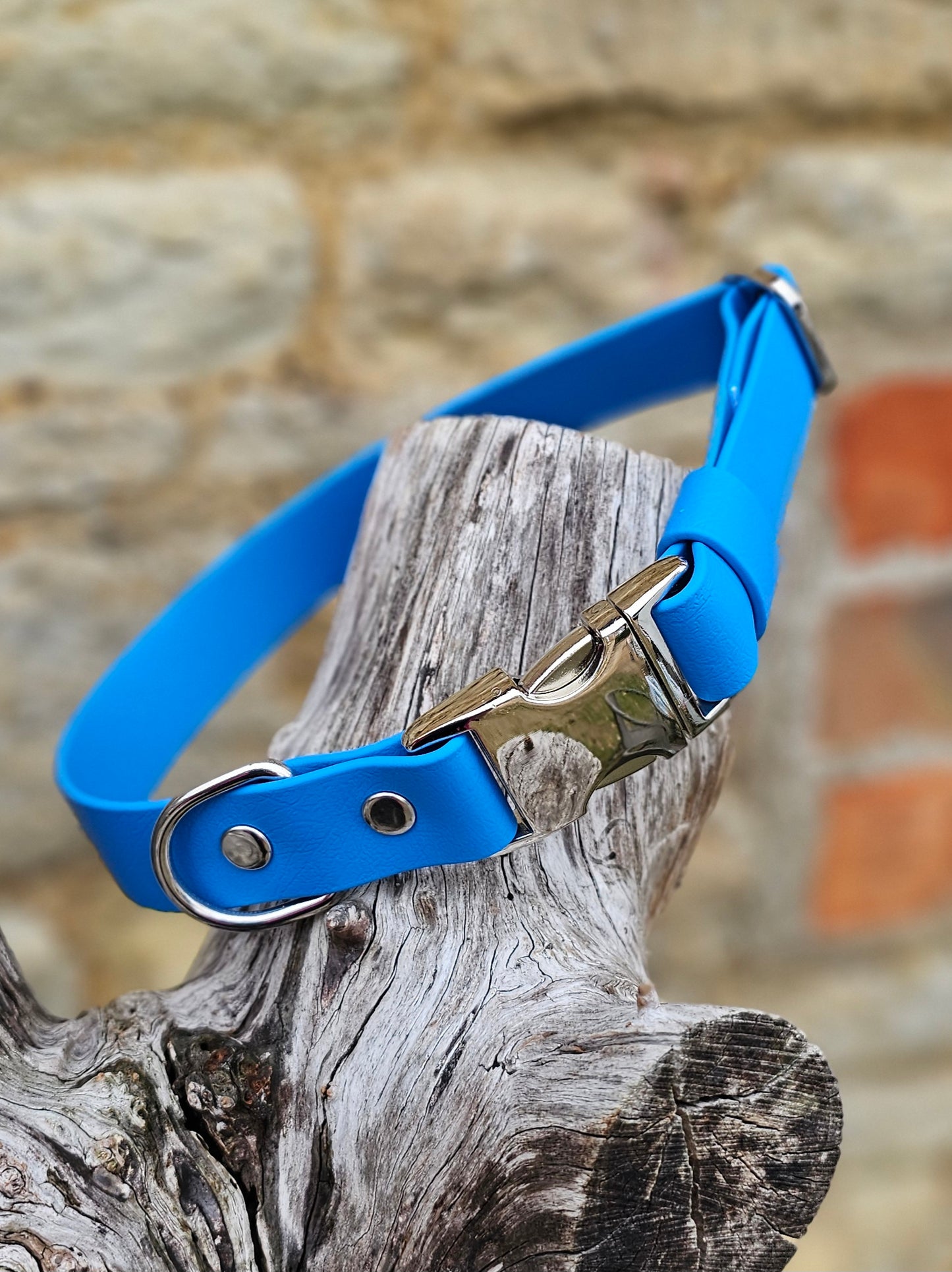 Everlast Waterproof BioThane© Quick-Release Buckle Dog Collar - Design Your Own