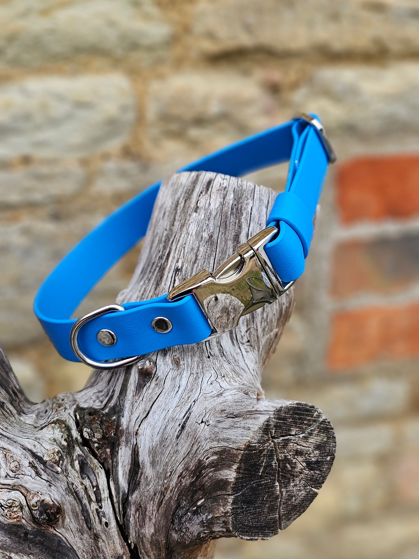Ocean Blue - Everlast Waterproof BioThane© Quick-Release Buckle Dog Collar