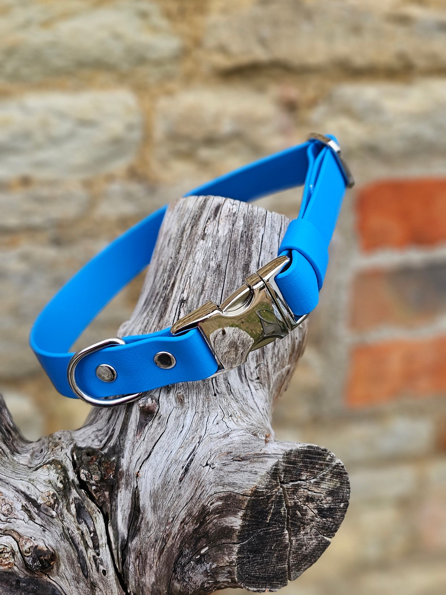 Ocean Blue - Everlast Waterproof BioThane© Quick-Release Buckle Dog Collar