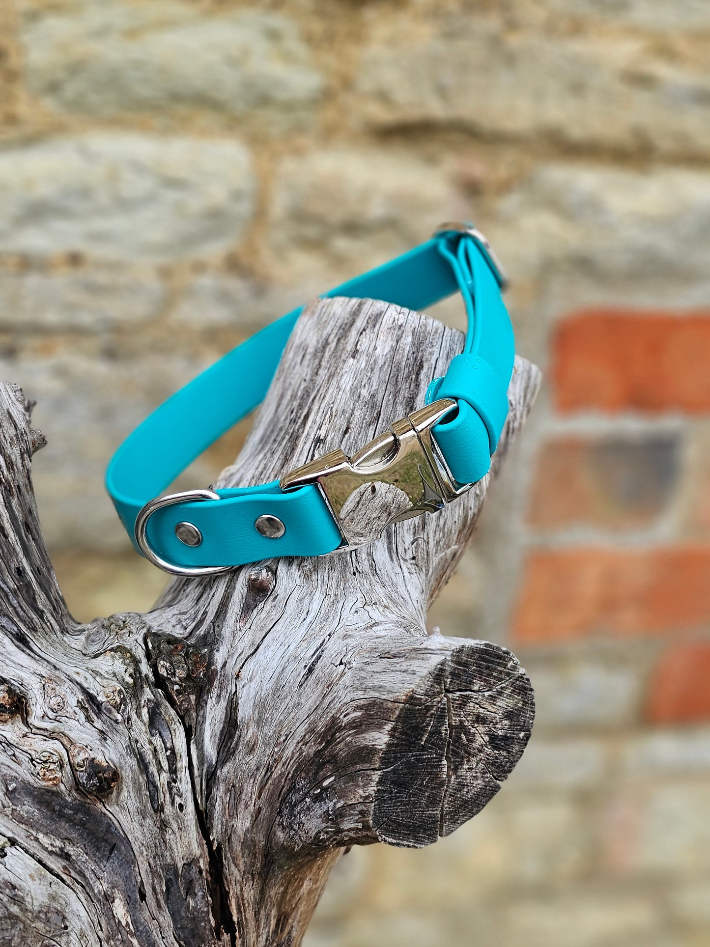 Duckegg - Everlast Waterproof BioThane© Quick-Release Buckle Dog Collar