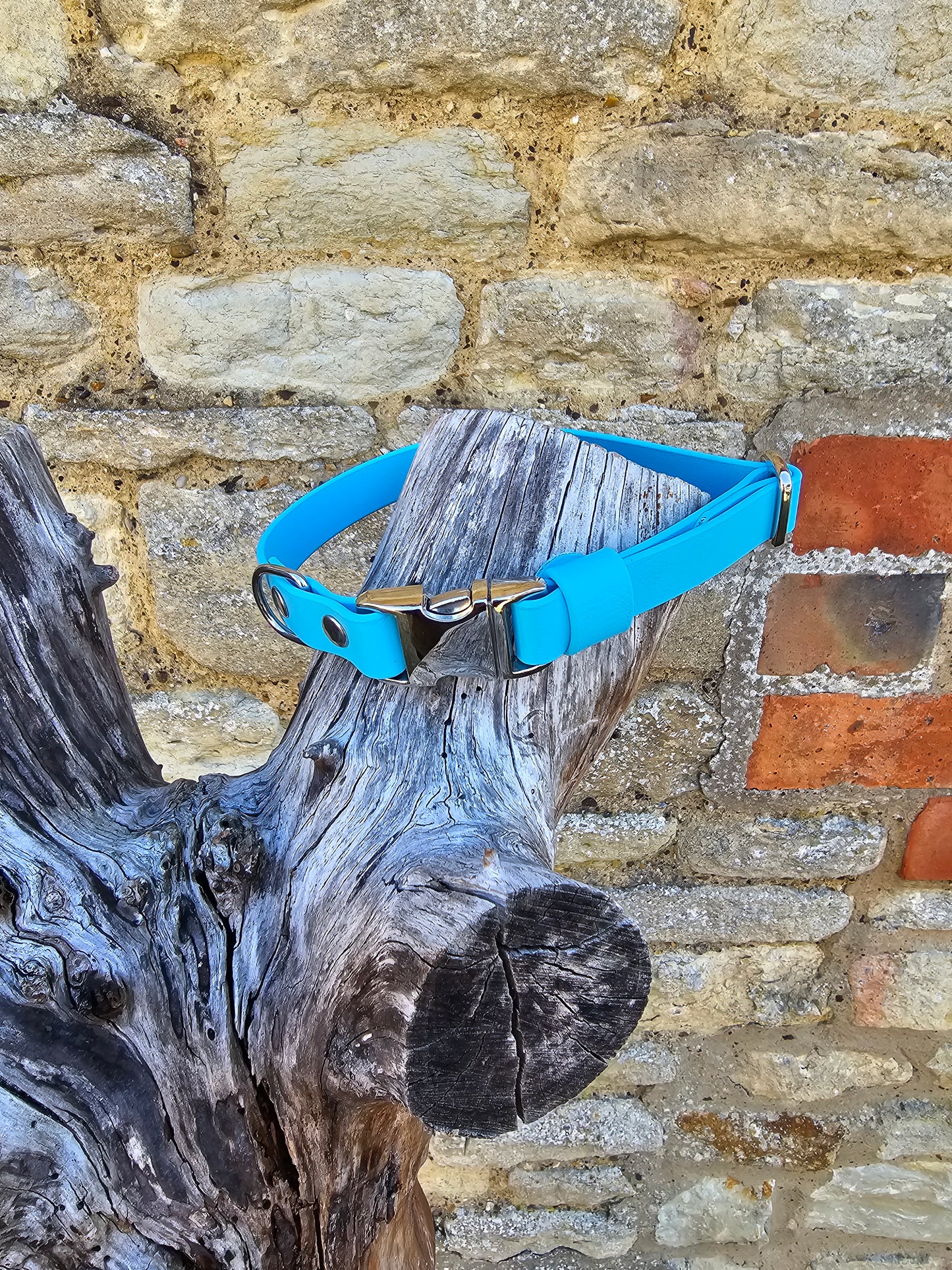 Neon Blue - Everlast Waterproof BioThane© Quick-Release Buckle Dog Collar