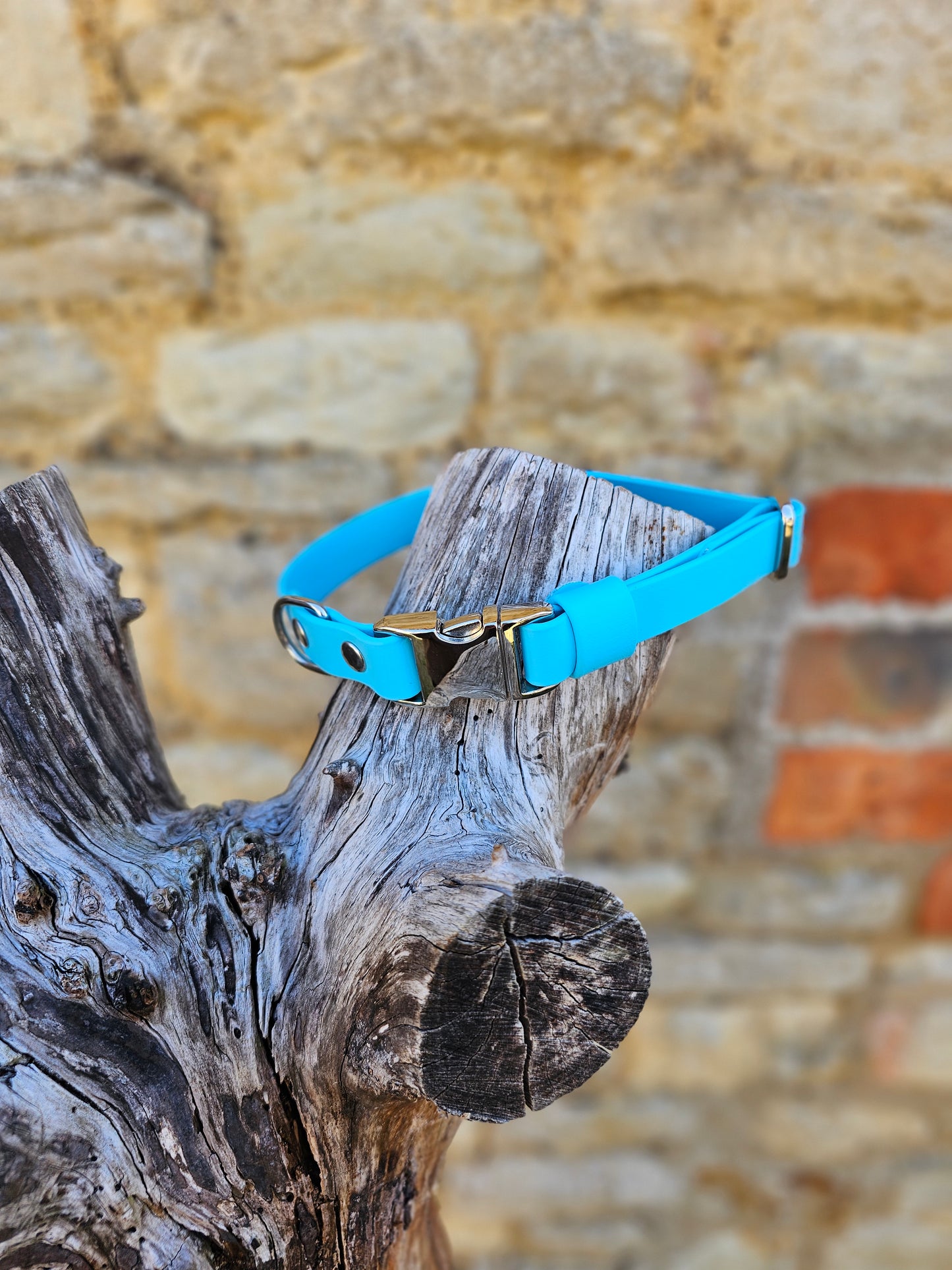 Neon Blue - Everlast Waterproof BioThane© Quick-Release Buckle Dog Collar