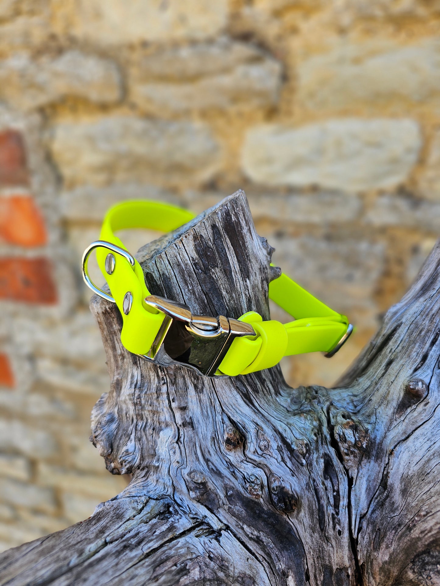 Neon Yellow - Everlast Waterproof BioThane© Quick-Release Buckle Dog Collar