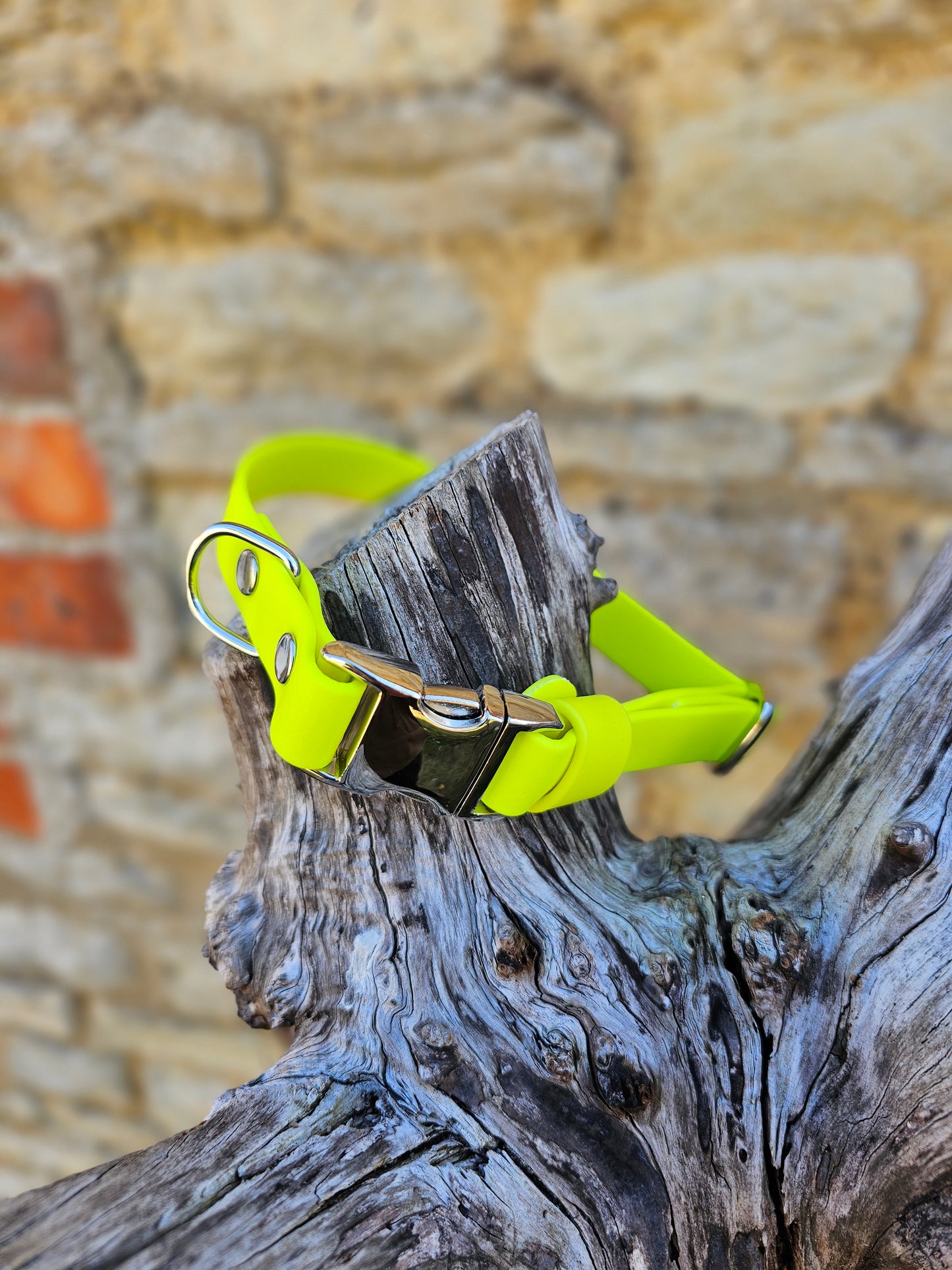 Everlast Waterproof BioThane© Quick-Release Buckle Dog Collar - Design Your Own