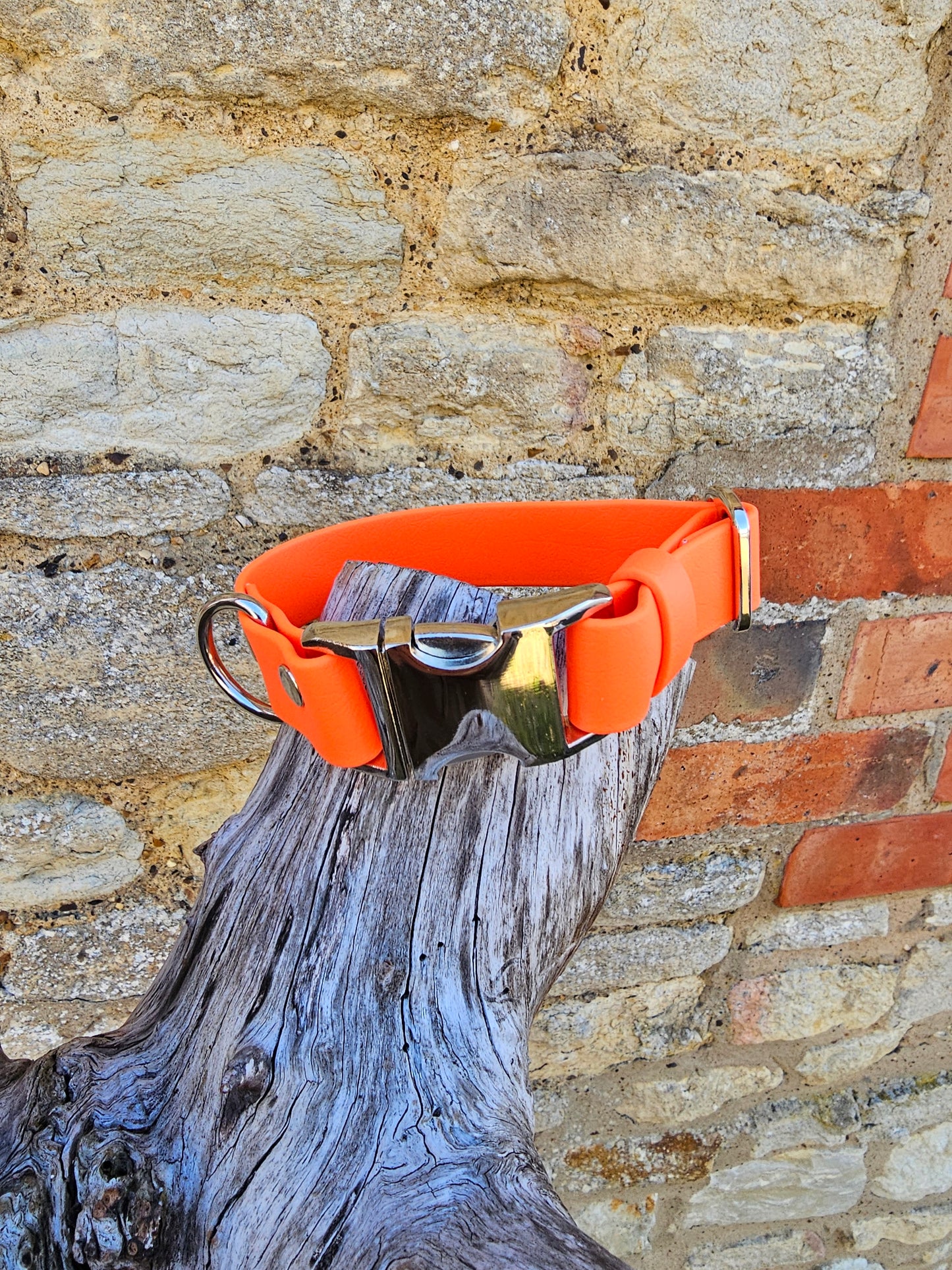 Neon Orange - Everlast Waterproof BioThane© Quick-Release Buckle Dog Collar