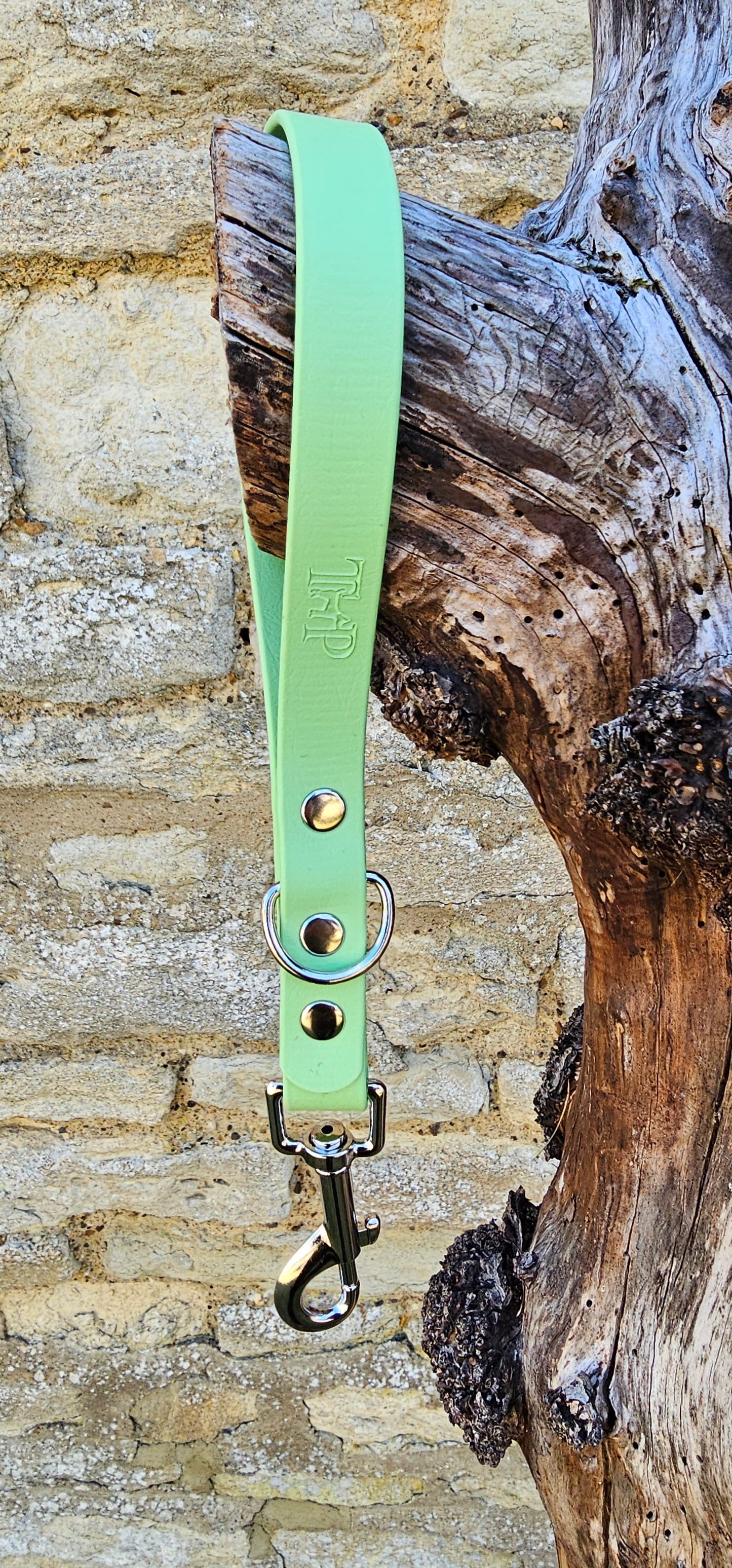 Pistachio - Waterproof BioThane® Dog Traffic Leash / Dog Traffic Handle