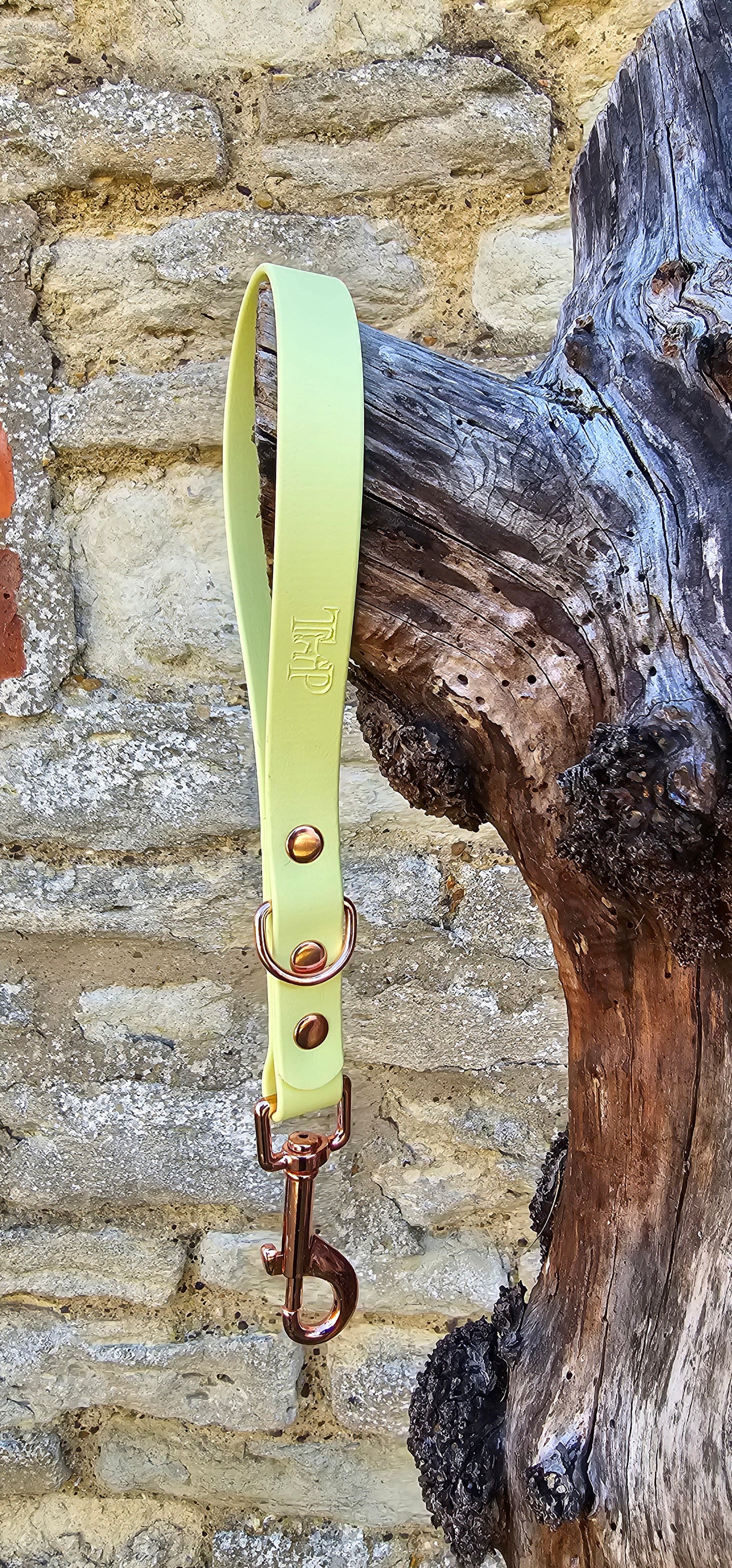 Lemon - Waterproof BioThane® Dog Traffic Leash / Dog Traffic Handle