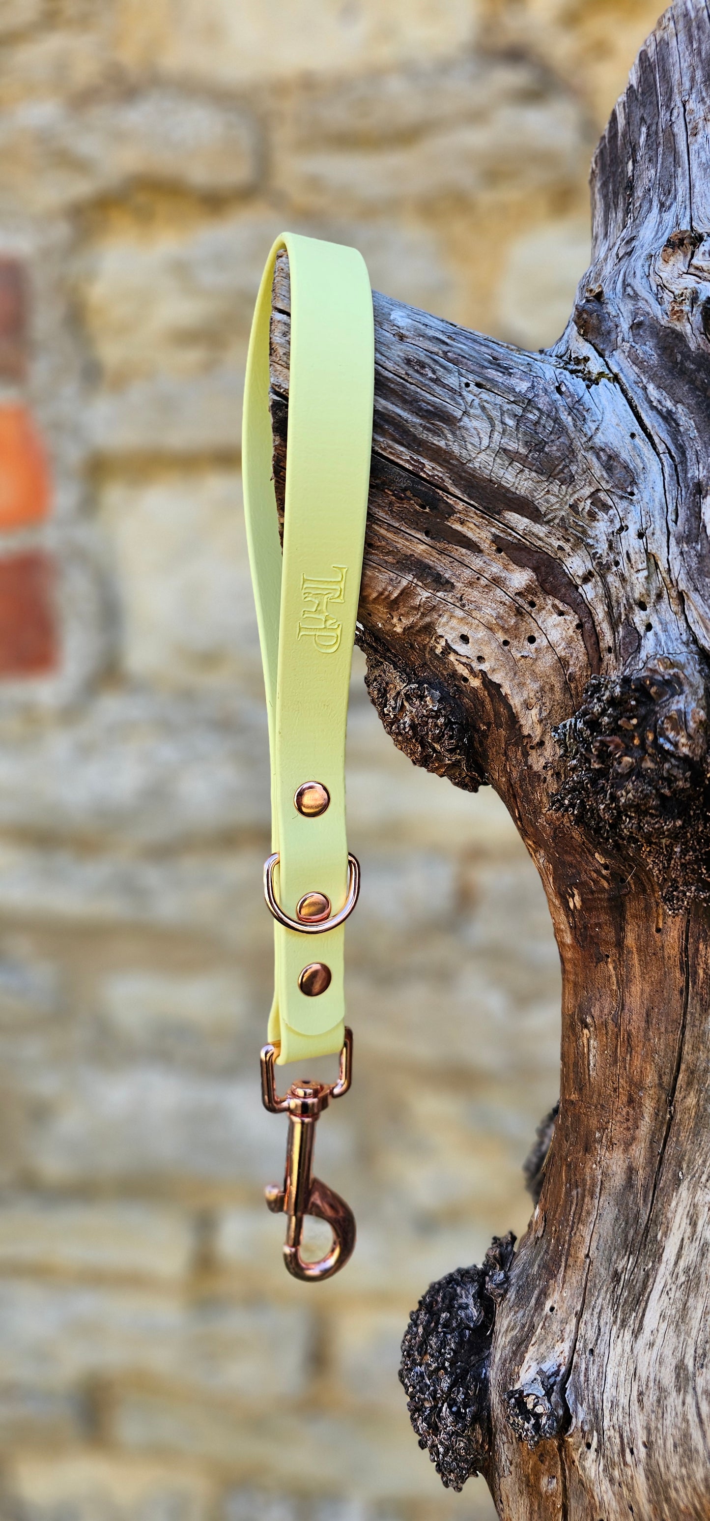 Lemon - Waterproof BioThane® Dog Traffic Leash / Dog Traffic Handle