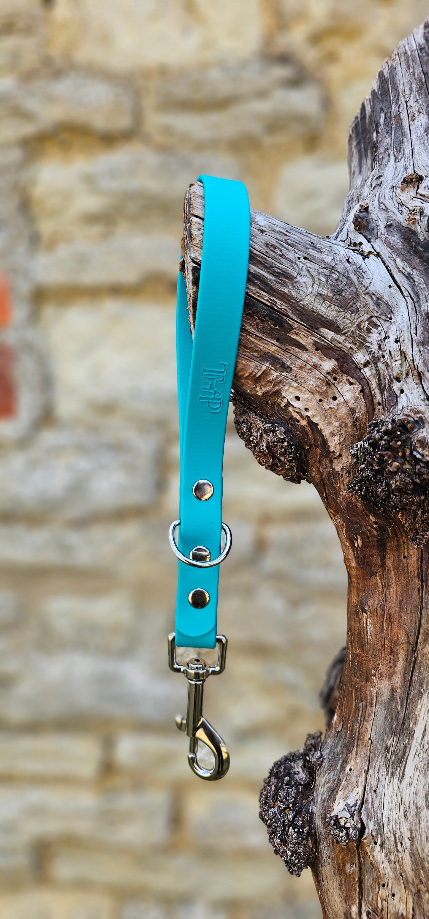 Teal - Waterproof BioThane® Dog Traffic Leash / Dog Traffic Handle