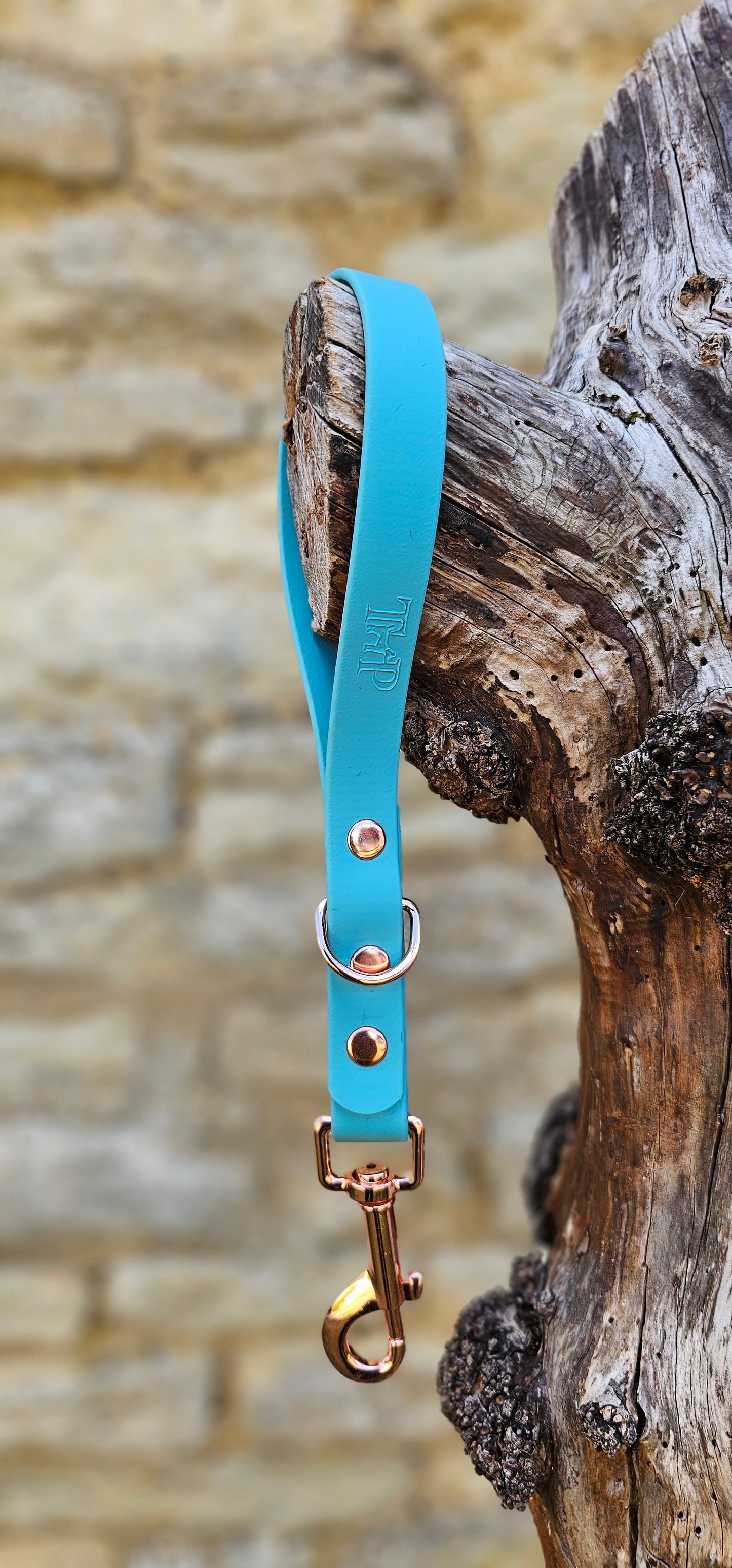 Duckegg - Waterproof BioThane® Dog Traffic Leash / Dog Traffic Handle