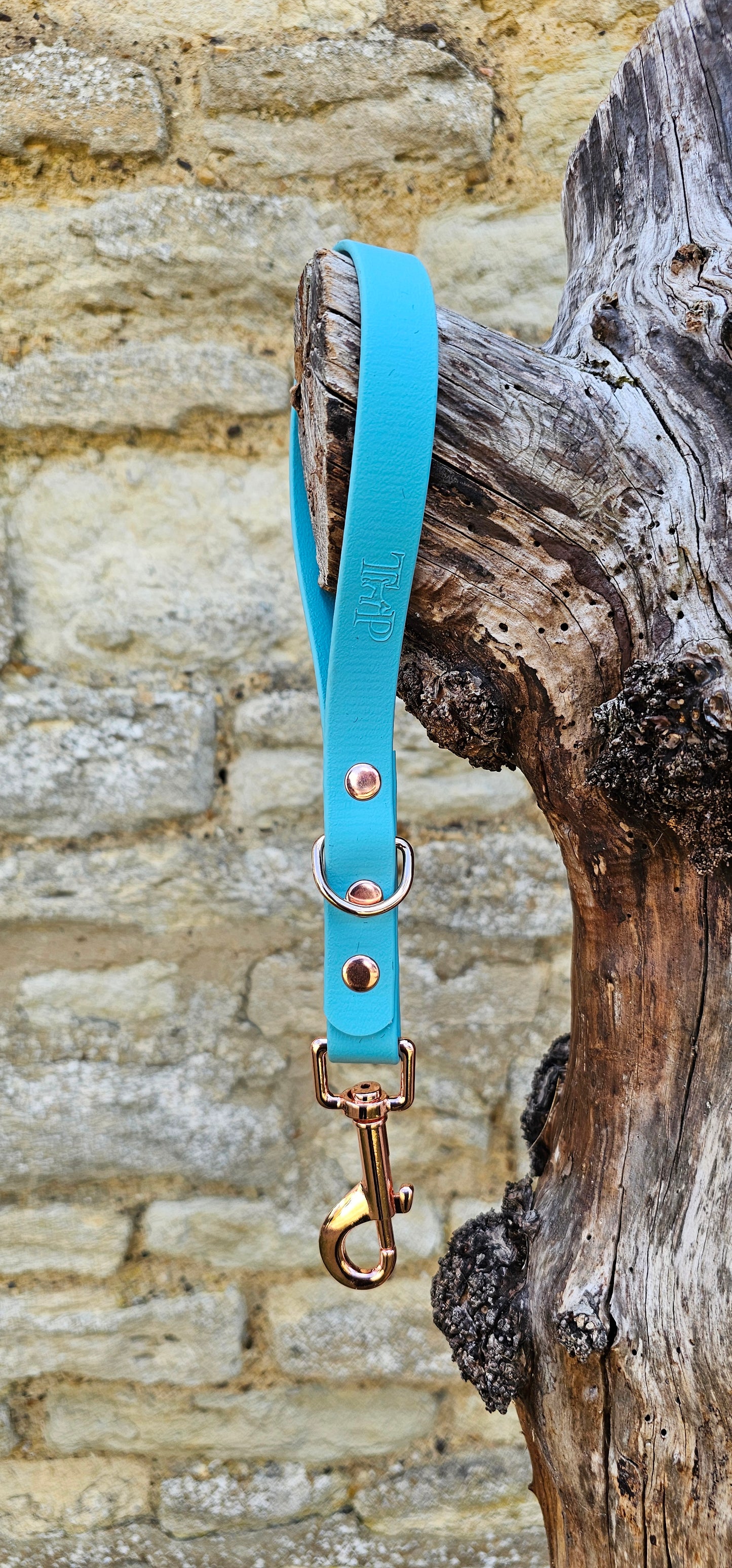 Duckegg - Waterproof BioThane® Dog Traffic Leash / Dog Traffic Handle