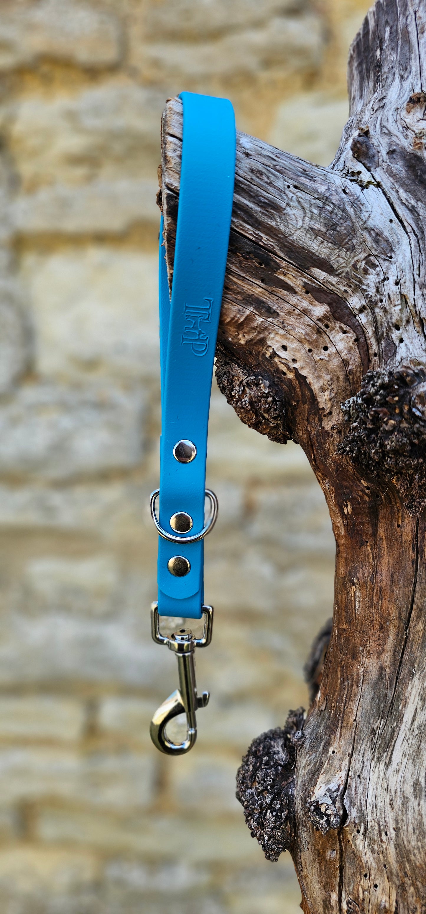 Lagune - Waterproof BioThane® Dog Traffic Leash / Dog Traffic Handle