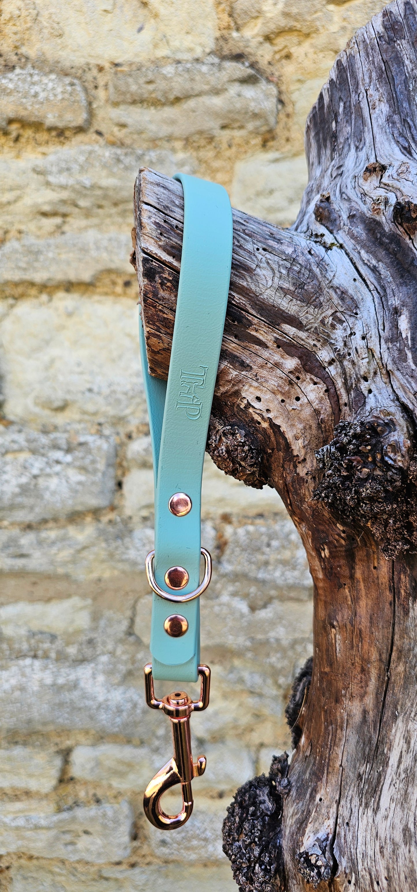 Sage - Waterproof BioThane® Dog Traffic Leash / Dog Traffic Handle