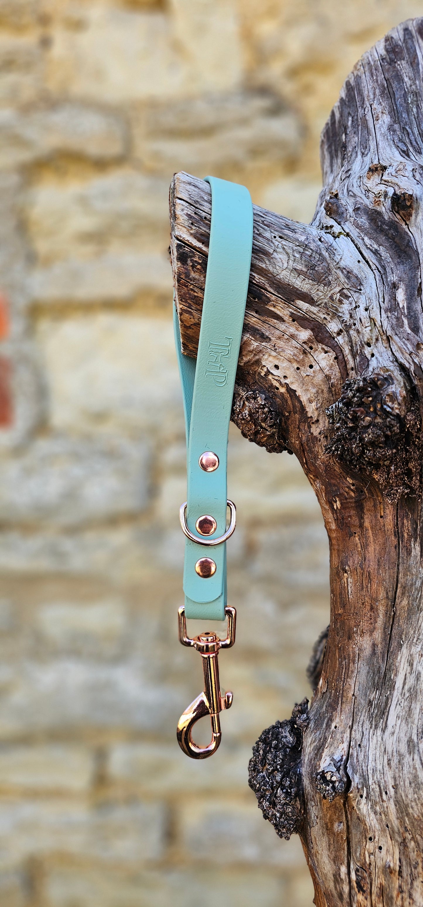 Sage - Waterproof BioThane® Dog Traffic Leash / Dog Traffic Handle