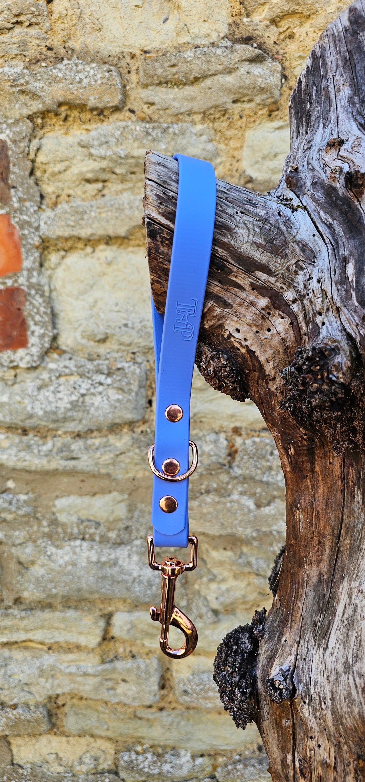 Periwinkle - Waterproof BioThane® Dog Traffic Leash / Dog Traffic Handle