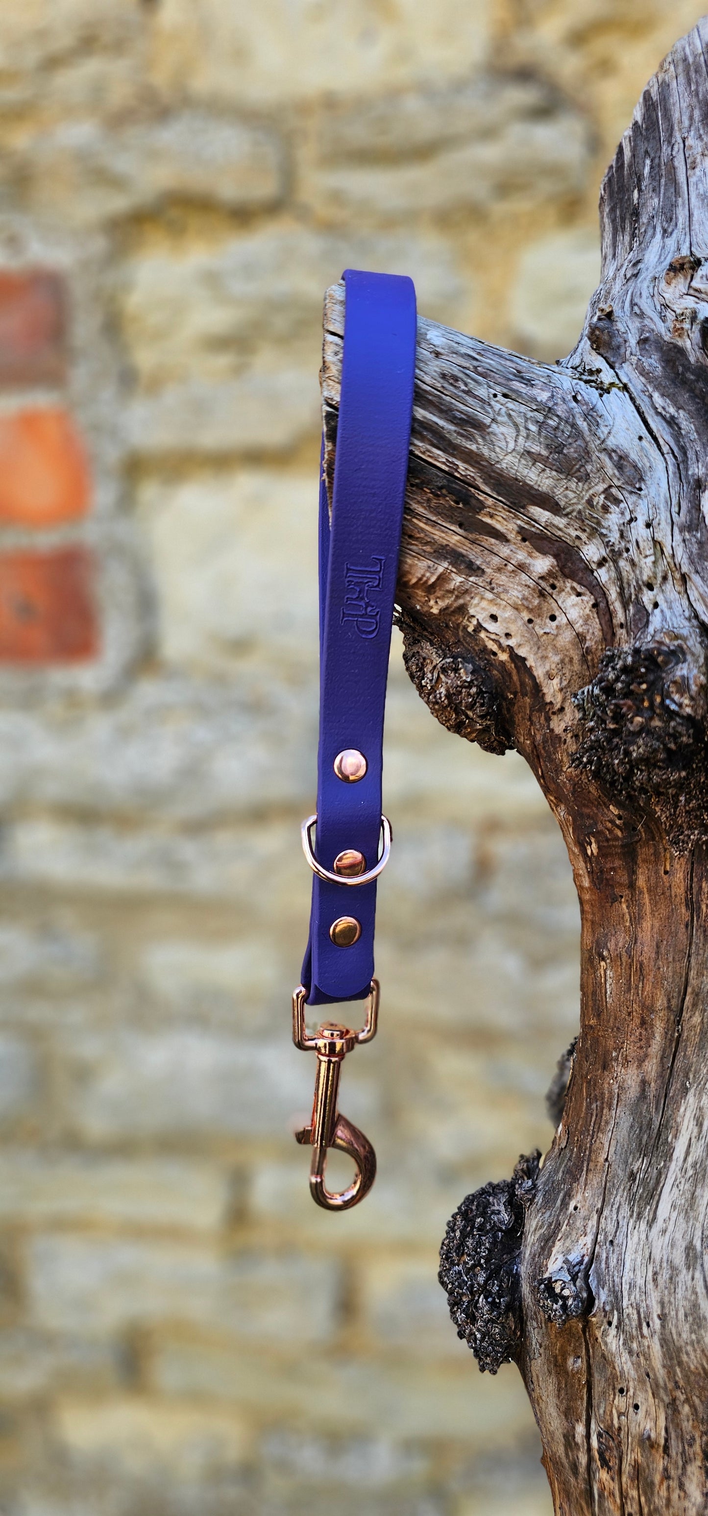 Purple - Waterproof BioThane® Dog Traffic Leash / Dog Traffic Handle